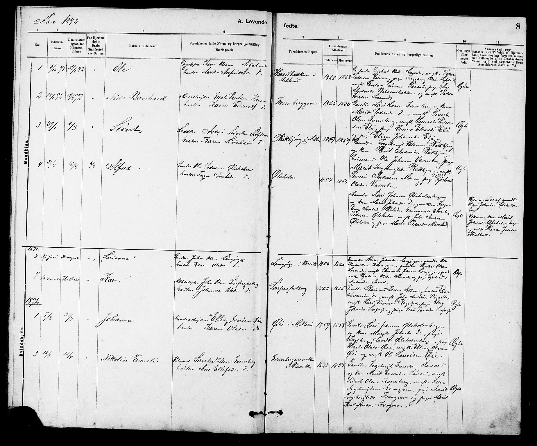 Ministerialprotokoller, klokkerbøker og fødselsregistre - Sør-Trøndelag, SAT/A-1456/666/L0790: Parish register (copy) no. 666C03, 1885-1908, p. 8