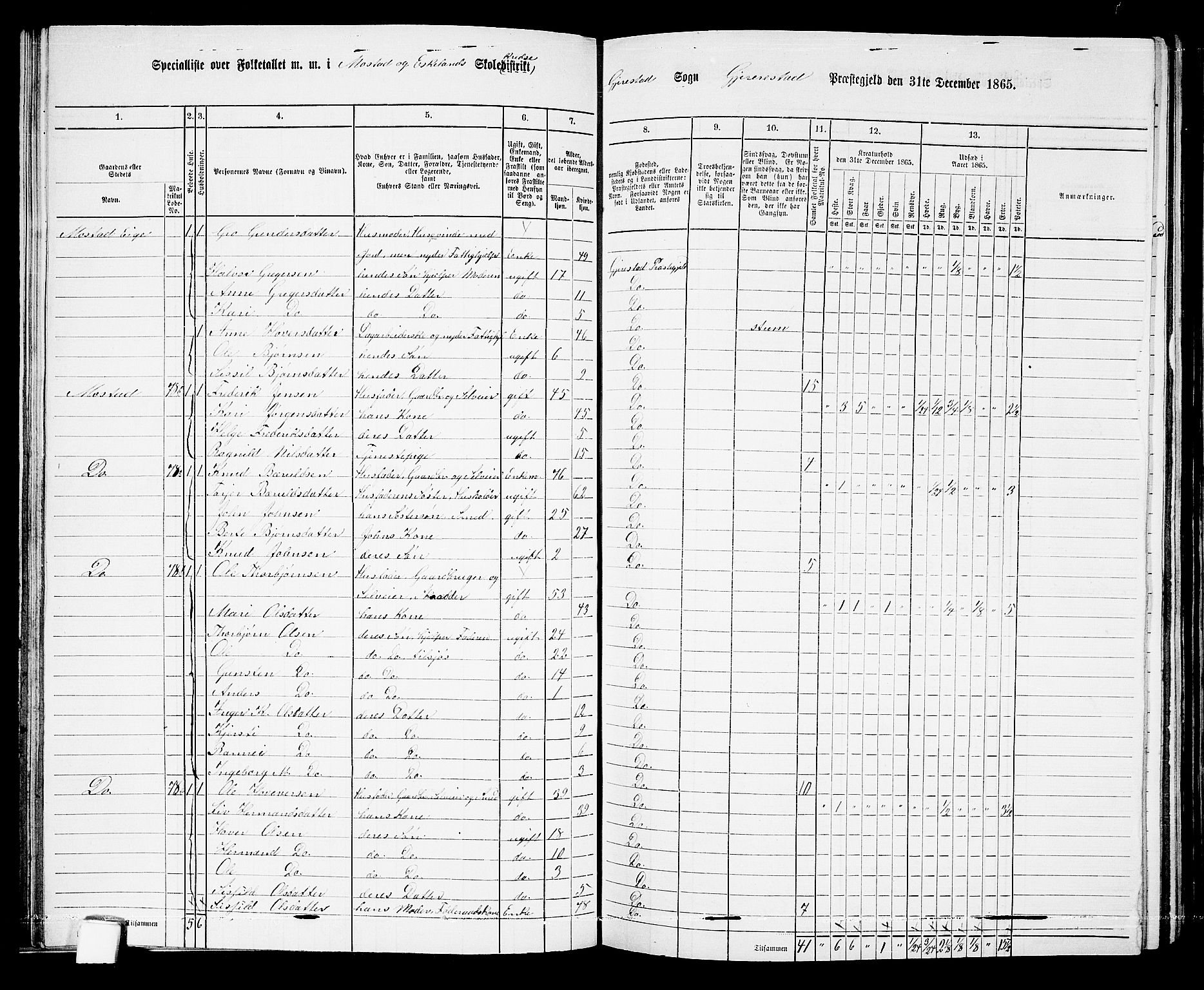 RA, 1865 census for Gjerstad, 1865, p. 64