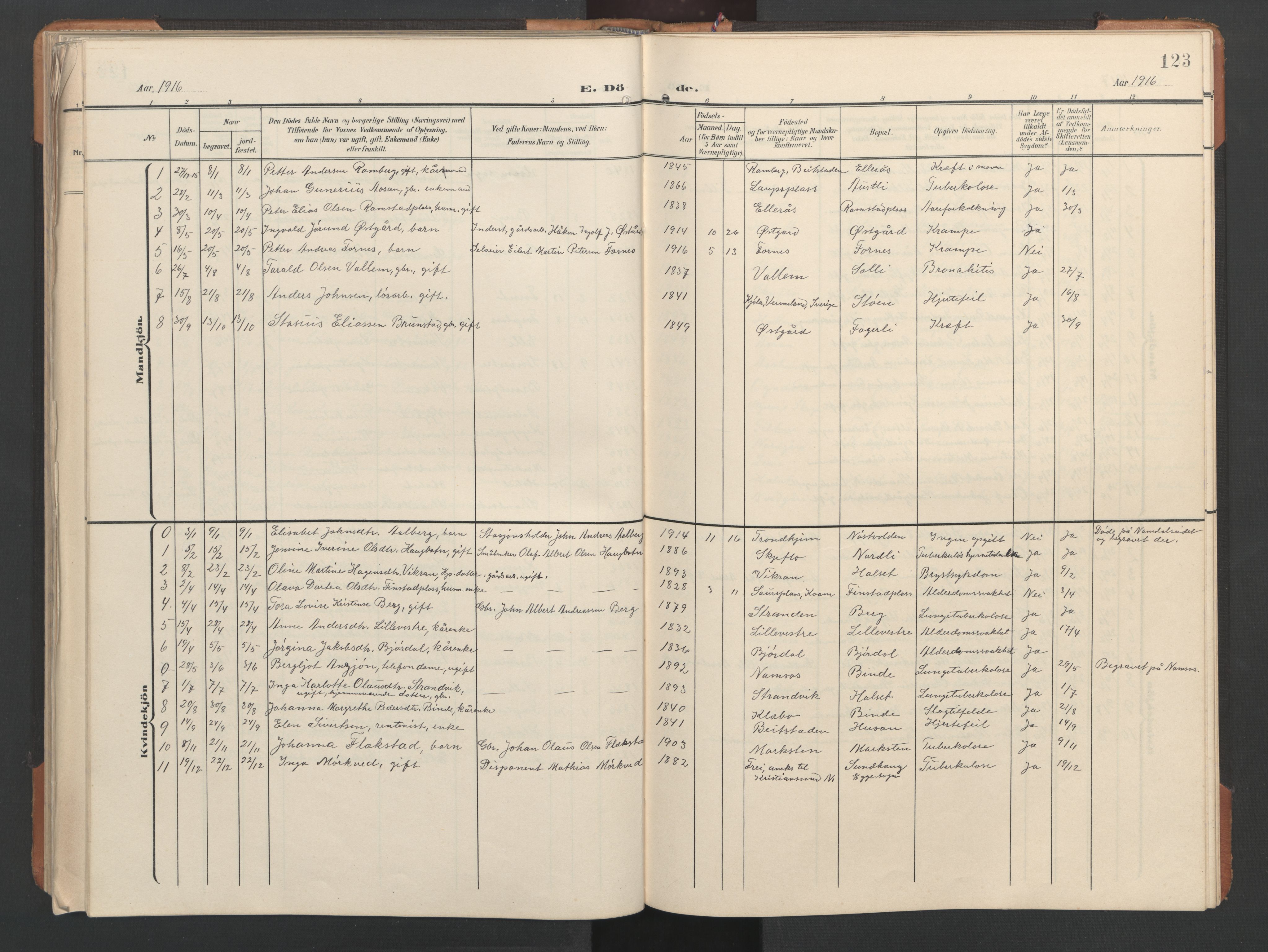 Ministerialprotokoller, klokkerbøker og fødselsregistre - Nord-Trøndelag, SAT/A-1458/746/L0455: Parish register (copy) no. 746C01, 1908-1933, p. 123