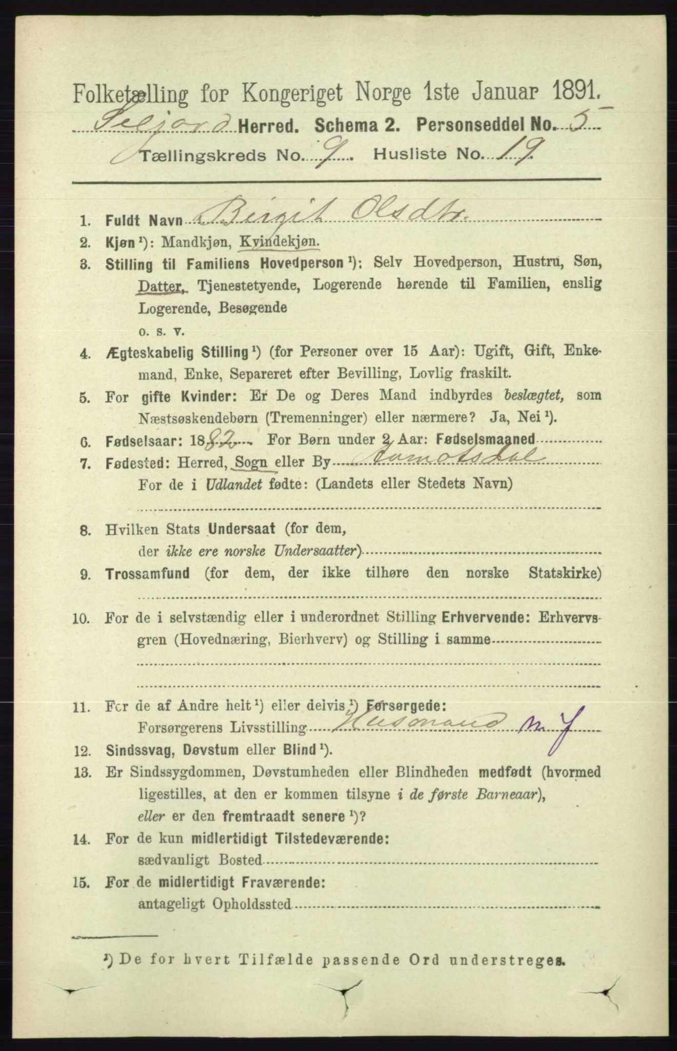 RA, 1891 census for 0828 Seljord, 1891, p. 3269
