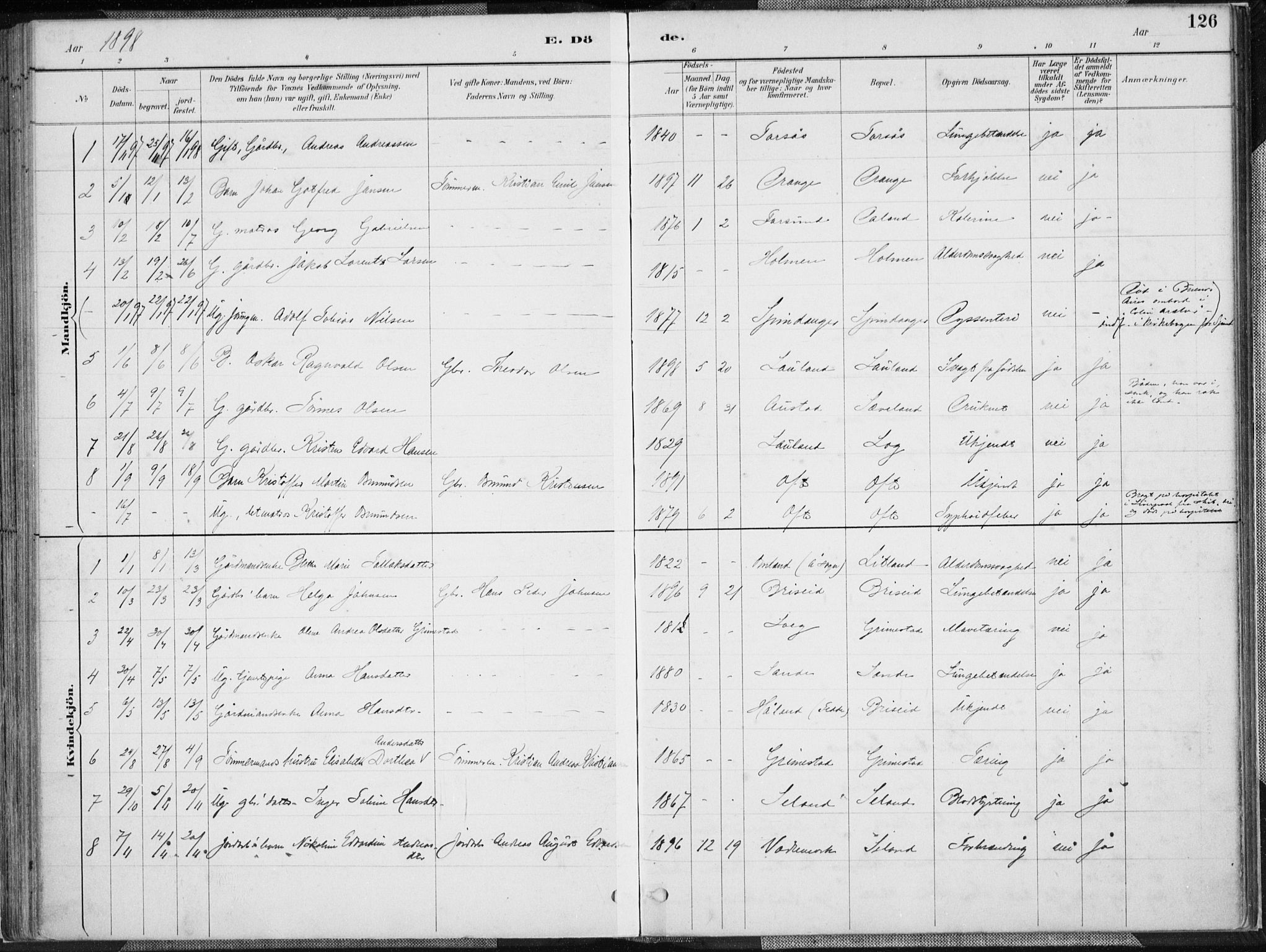 Herad sokneprestkontor, SAK/1111-0018/F/Fa/Faa/L0006: Parish register (official) no. A 6, 1887-1907, p. 126