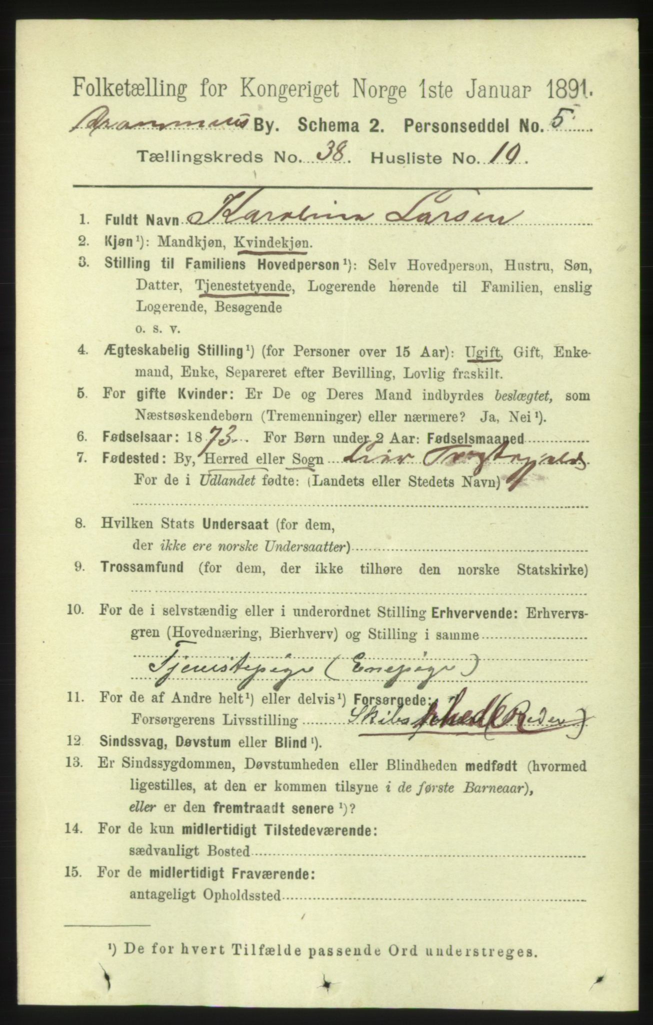 RA, 1891 census for 0602 Drammen, 1891, p. 23041