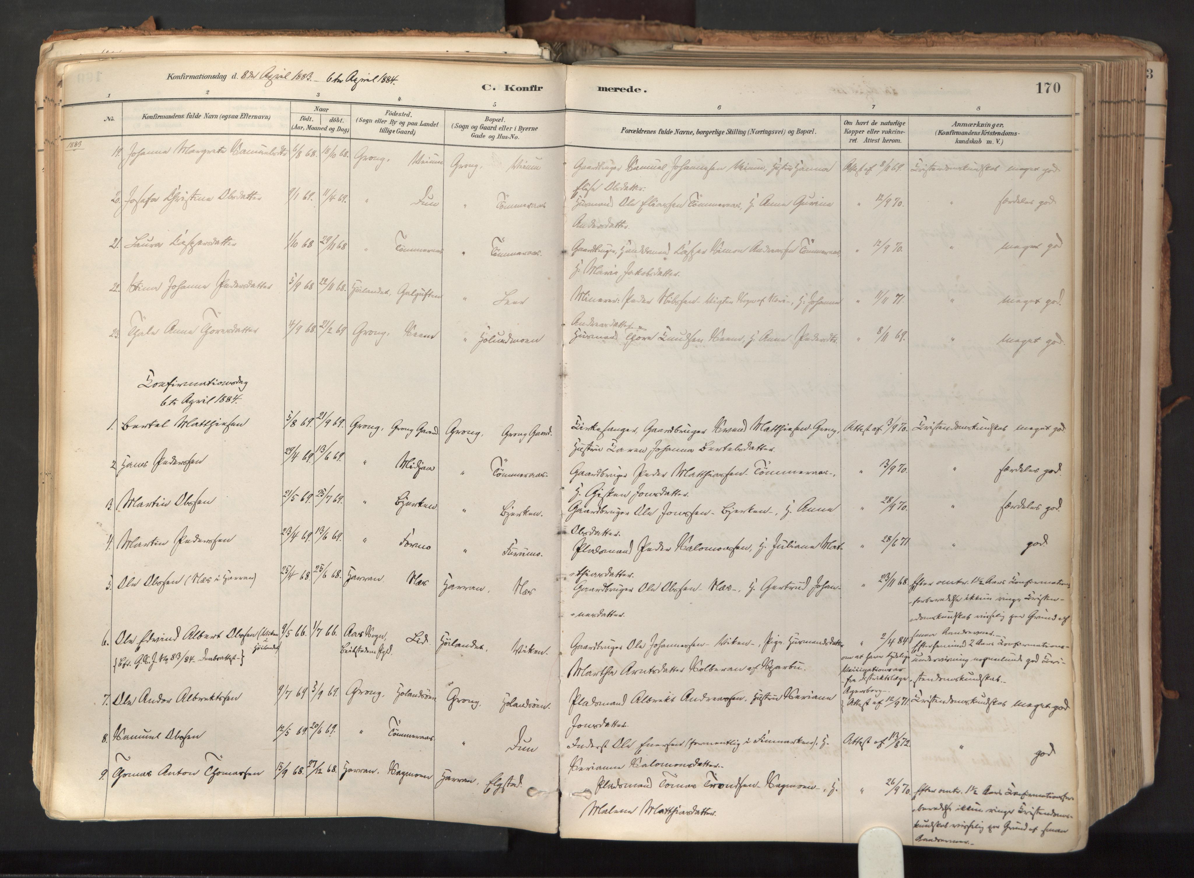 Ministerialprotokoller, klokkerbøker og fødselsregistre - Nord-Trøndelag, AV/SAT-A-1458/758/L0519: Parish register (official) no. 758A04, 1880-1926, p. 170