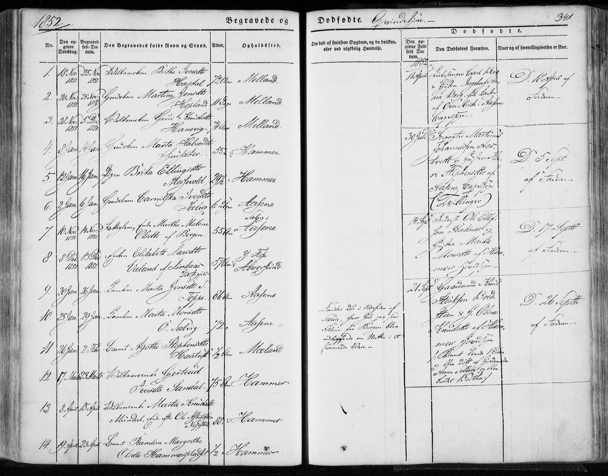 Hamre sokneprestembete, SAB/A-75501/H/Ha/Haa/Haaa/L0013: Parish register (official) no. A 13, 1846-1857, p. 341