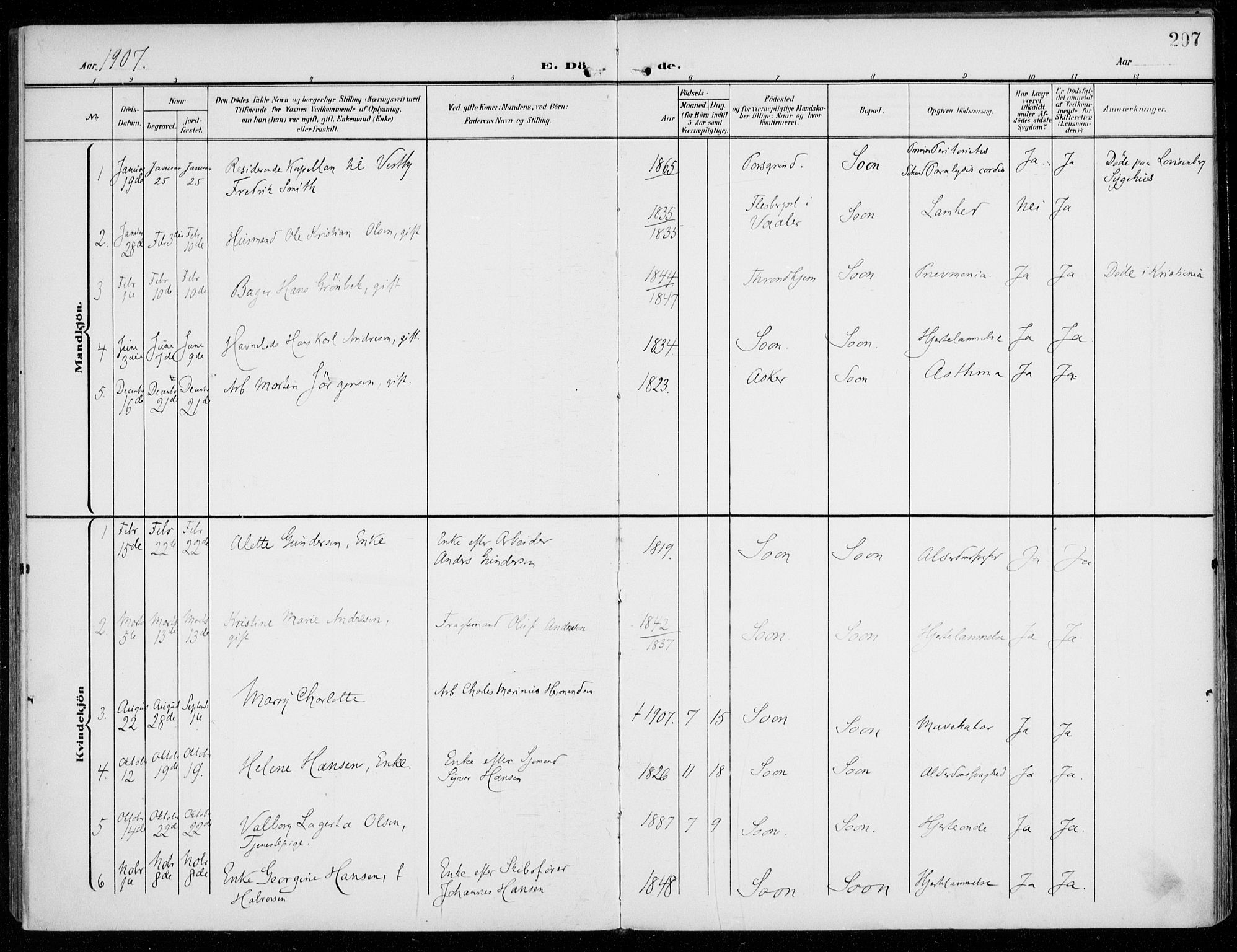 Vestby prestekontor Kirkebøker, SAO/A-10893/F/Fc/L0002: Parish register (official) no. III 2, 1906-1940, p. 207