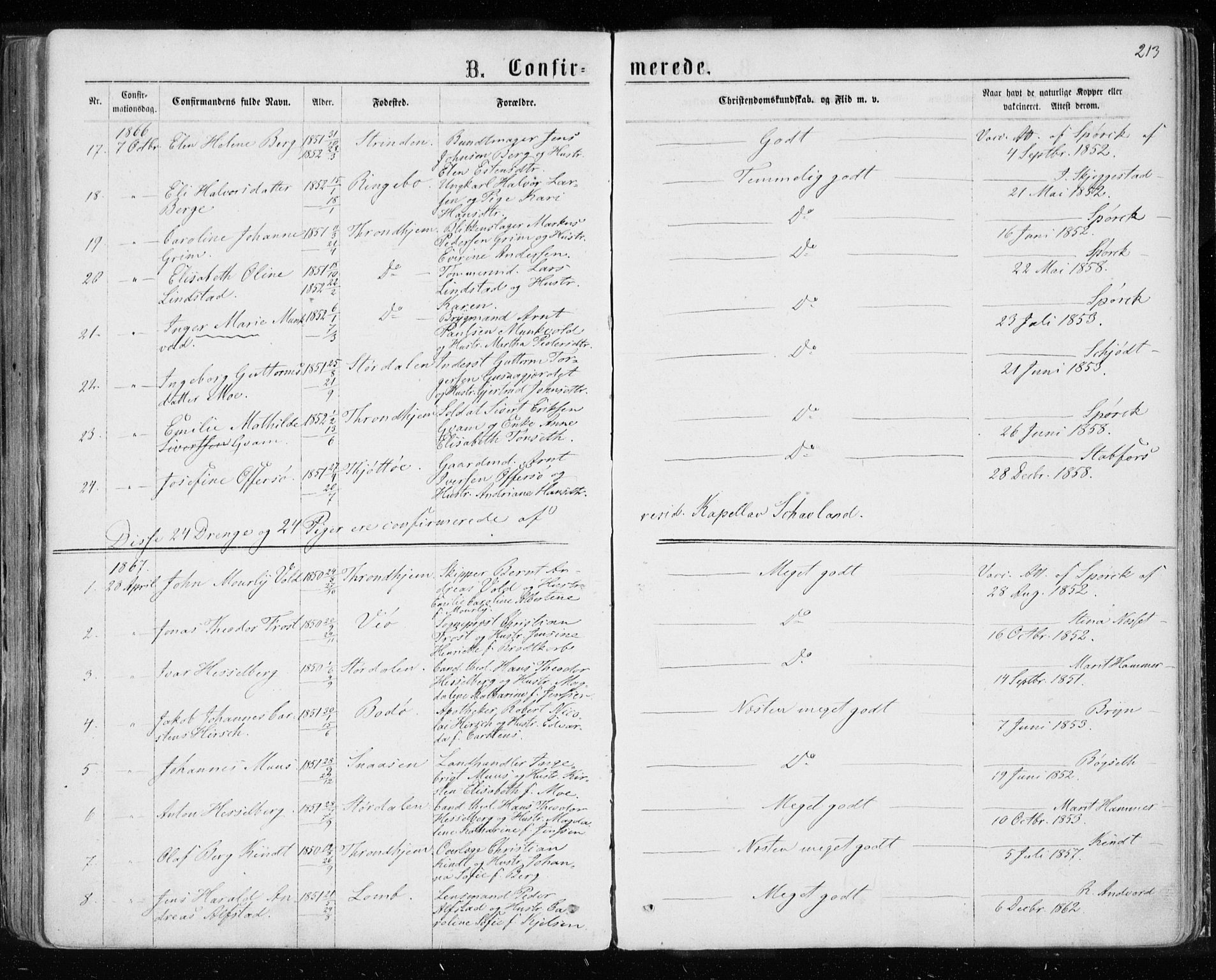Ministerialprotokoller, klokkerbøker og fødselsregistre - Sør-Trøndelag, SAT/A-1456/601/L0054: Parish register (official) no. 601A22, 1866-1877, p. 213