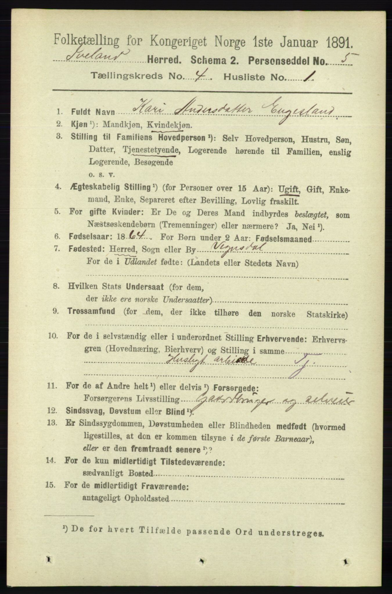 RA, 1891 census for 0935 Iveland, 1891, p. 1027