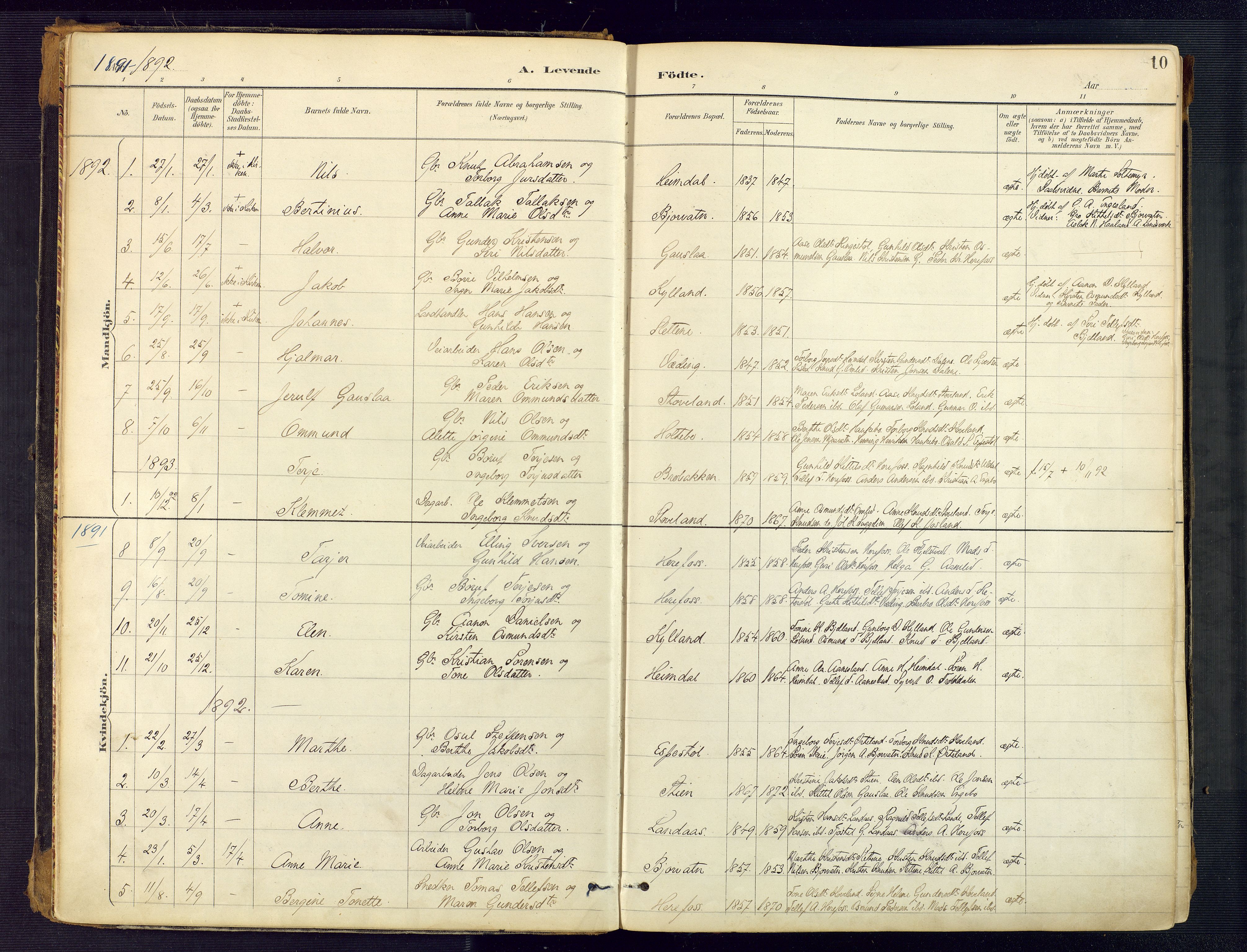 Herefoss sokneprestkontor, SAK/1111-0019/F/Fa/Faa/L0003: Parish register (official) no. A 3, 1887-1930, p. 10