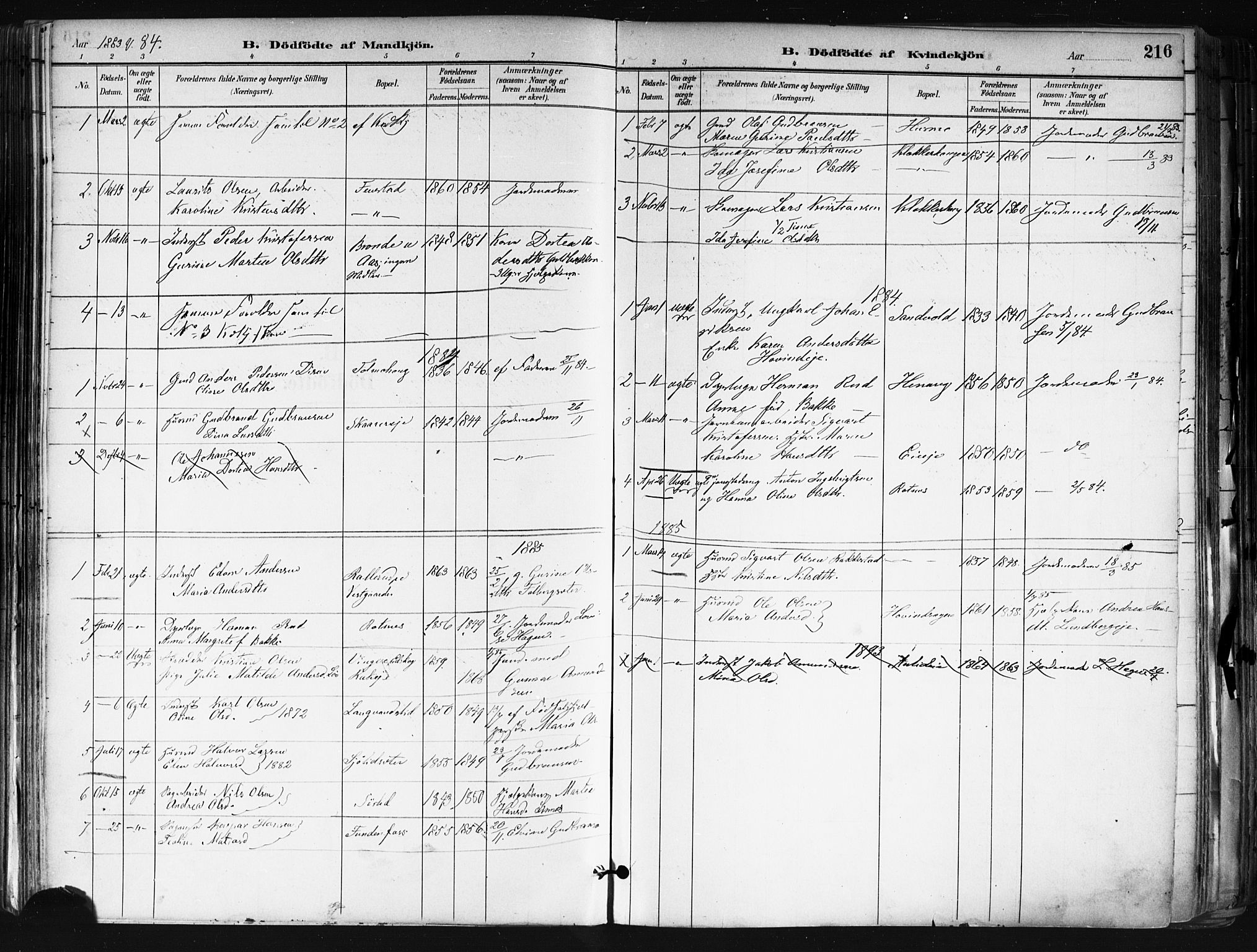 Nes prestekontor Kirkebøker, SAO/A-10410/F/Fa/L0010: Parish register (official) no. I 10, 1883-1898, p. 216