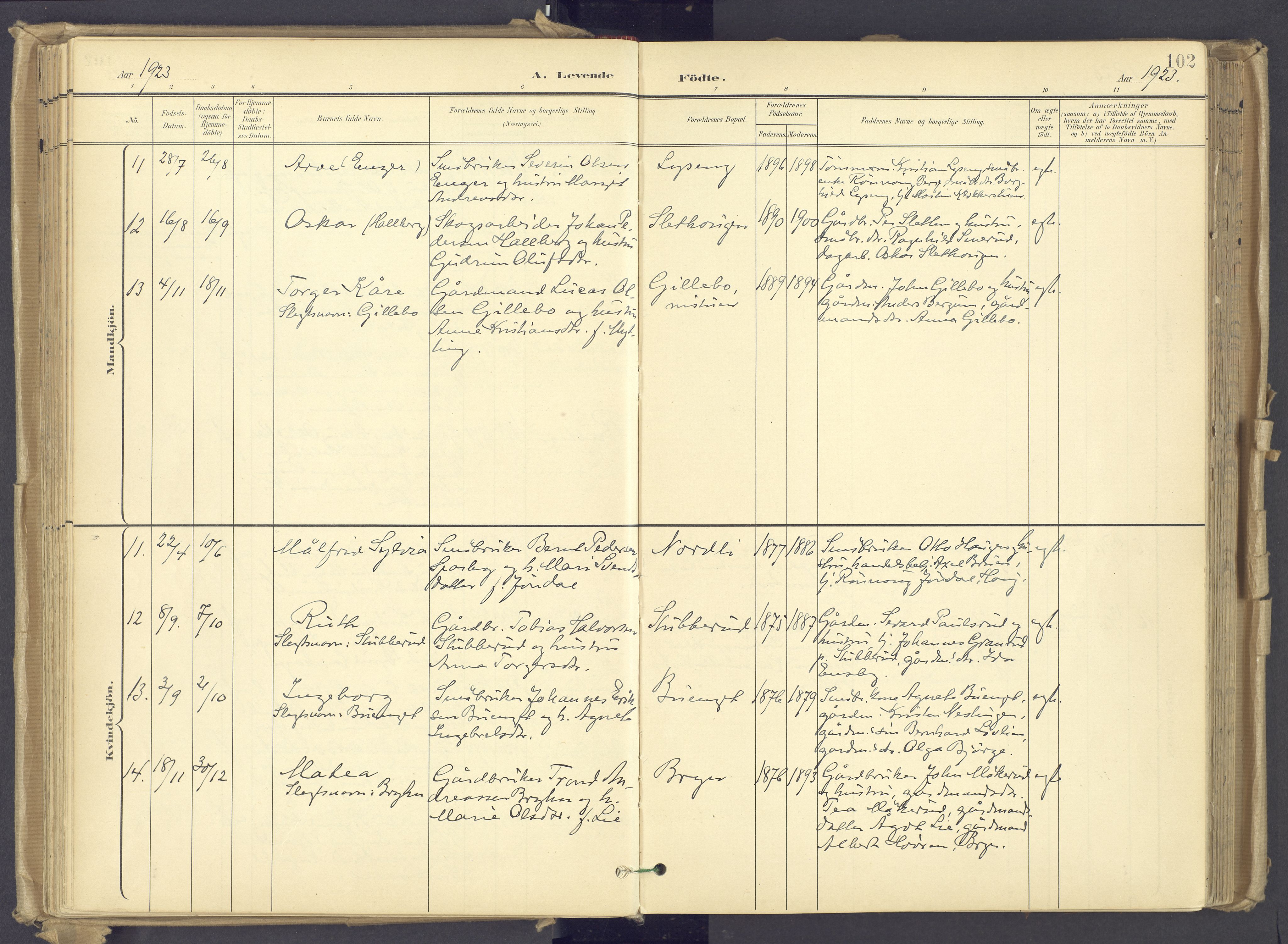 Øyer prestekontor, AV/SAH-PREST-084/H/Ha/Haa/L0012: Parish register (official) no. 12, 1897-1920, p. 102