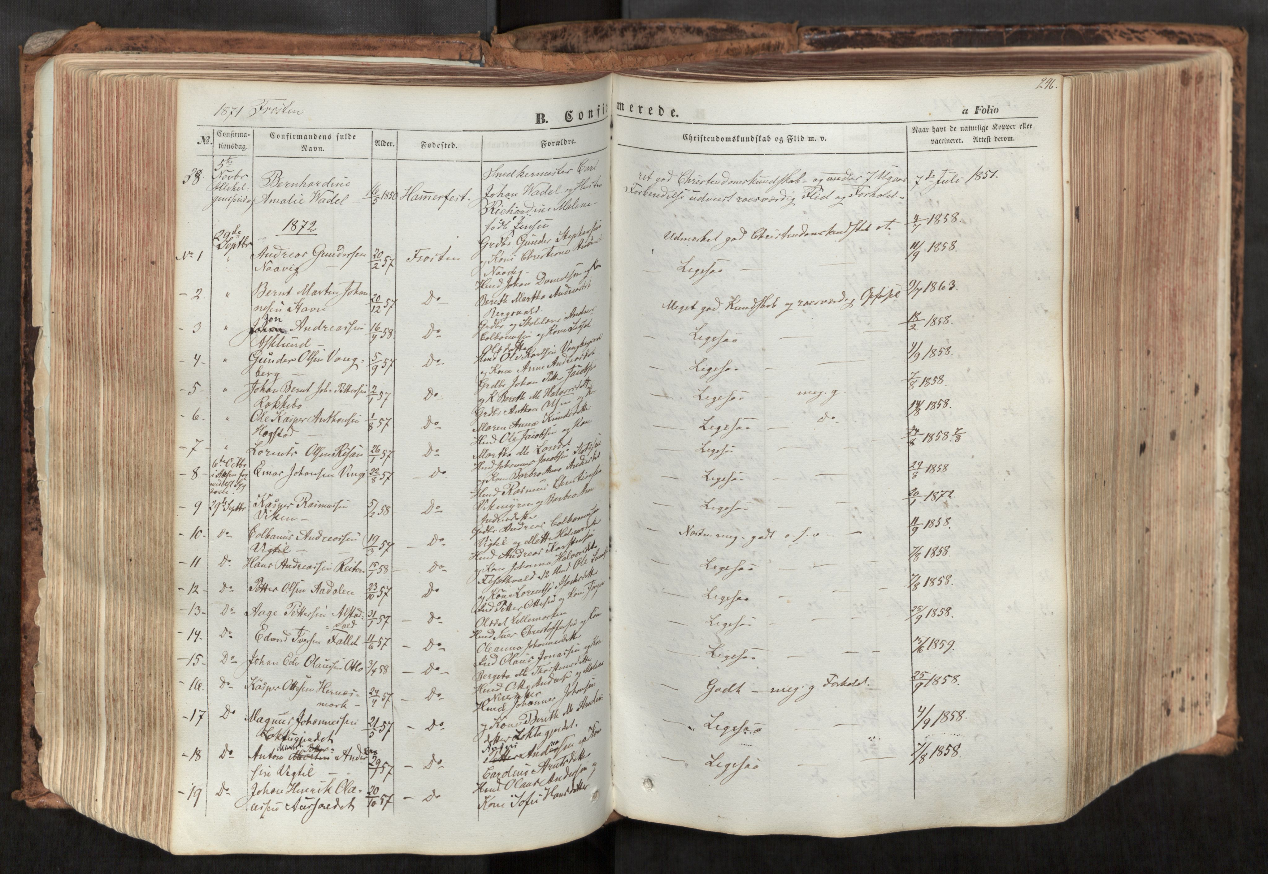 Ministerialprotokoller, klokkerbøker og fødselsregistre - Nord-Trøndelag, AV/SAT-A-1458/713/L0116: Parish register (official) no. 713A07, 1850-1877, p. 246
