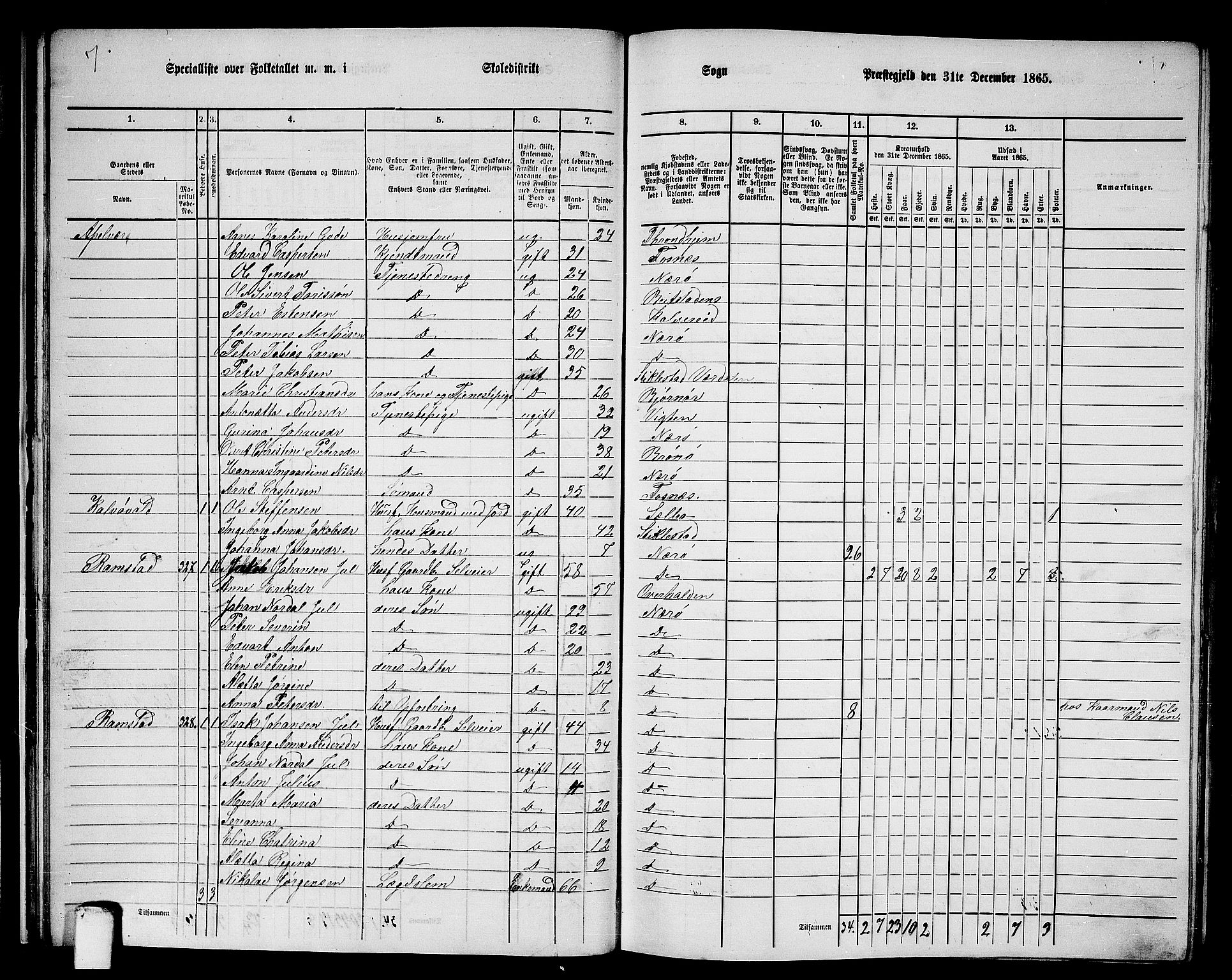 RA, 1865 census for Nærøy, 1865, p. 30