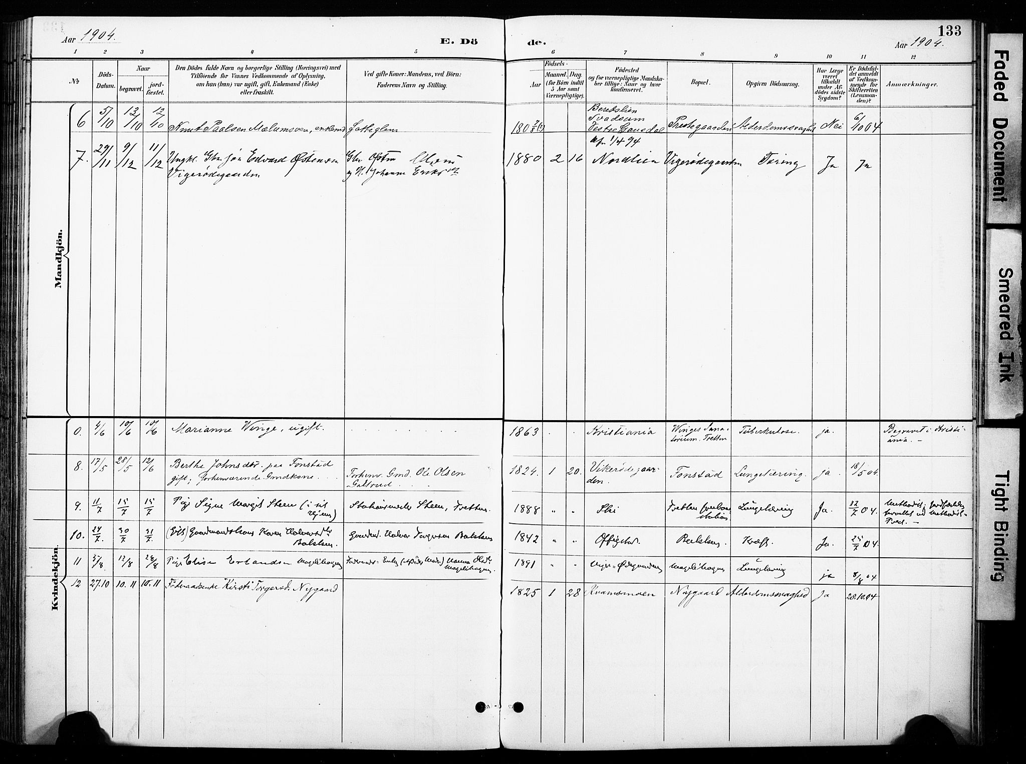 Øyer prestekontor, AV/SAH-PREST-084/H/Ha/Haa/L0011: Parish register (official) no. 11, 1894-1905, p. 133