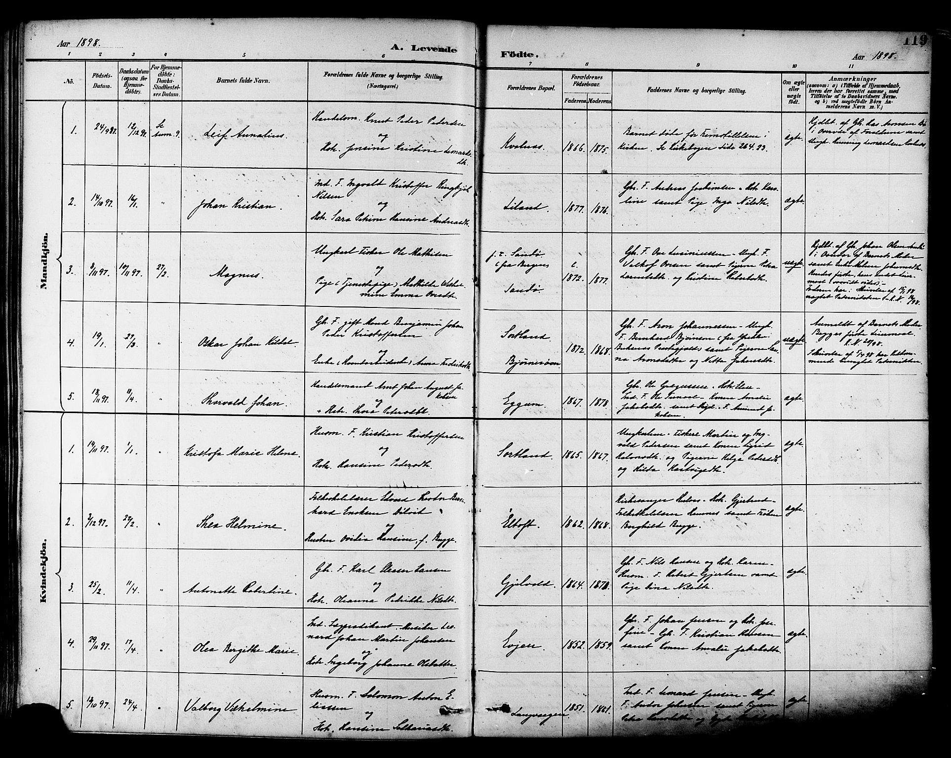 Ministerialprotokoller, klokkerbøker og fødselsregistre - Nordland, SAT/A-1459/880/L1133: Parish register (official) no. 880A07, 1888-1898, p. 119