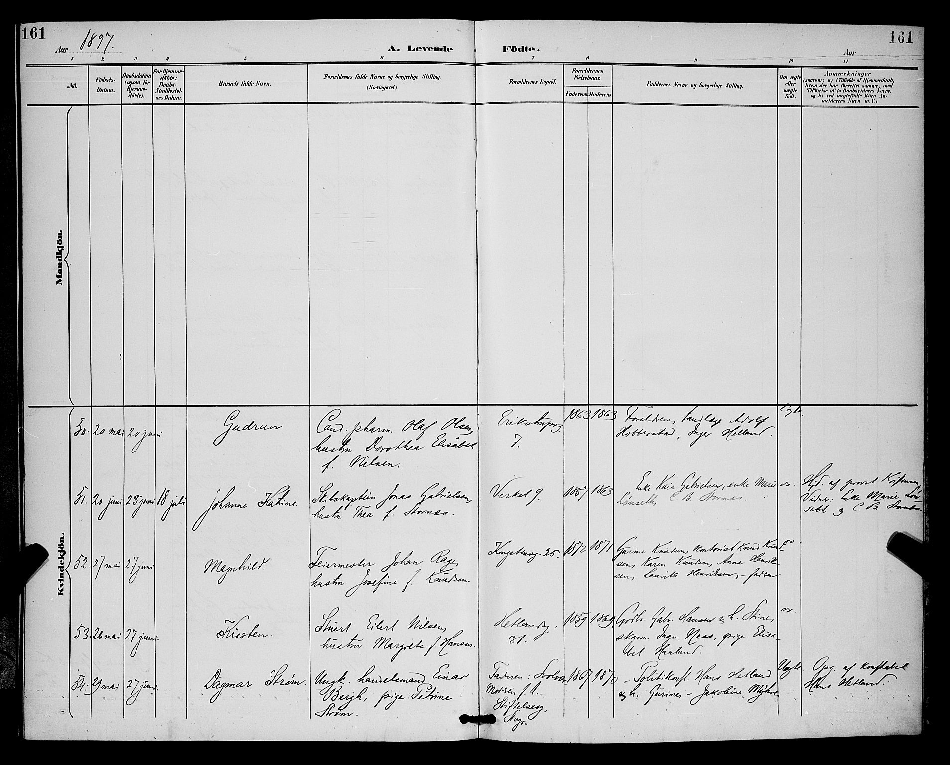 St. Petri sokneprestkontor, AV/SAST-A-101813/001/30/30BB/L0006: Parish register (copy) no. B 6, 1890-1897, p. 161