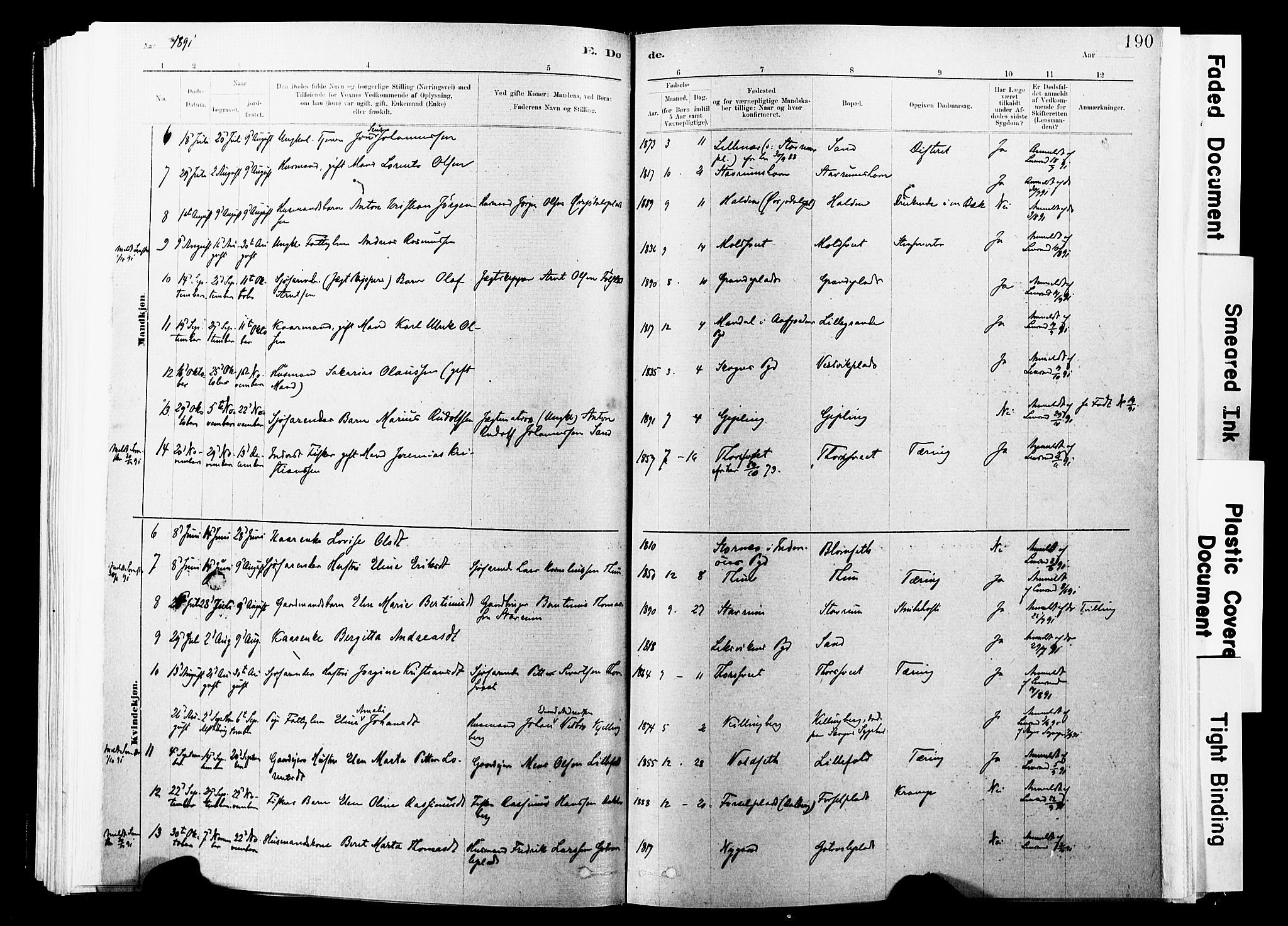 Ministerialprotokoller, klokkerbøker og fødselsregistre - Nord-Trøndelag, SAT/A-1458/744/L0420: Parish register (official) no. 744A04, 1882-1904, p. 190