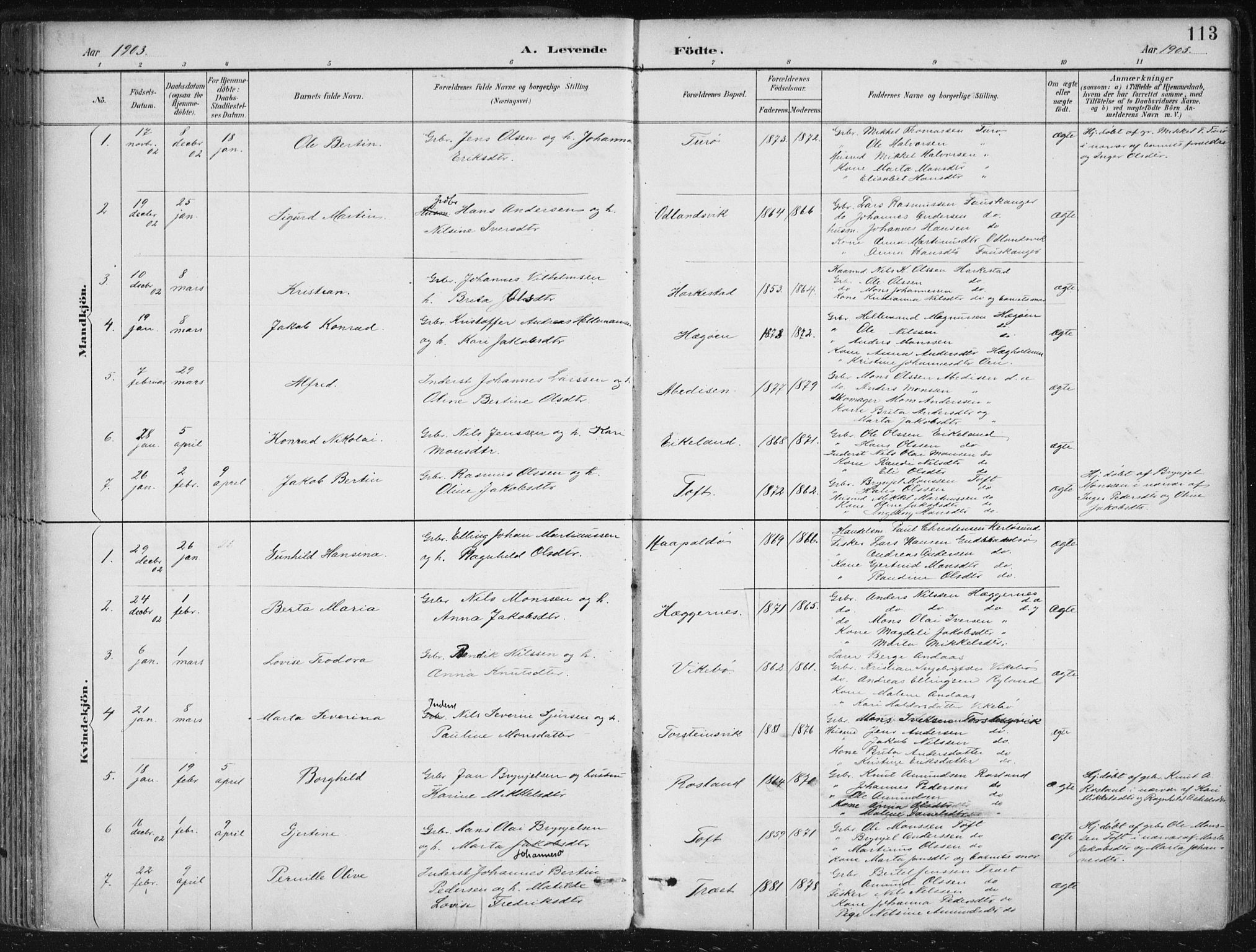 Herdla Sokneprestembete, SAB/A-75701/H/Haa: Parish register (official) no. A 4, 1891-1905, p. 113
