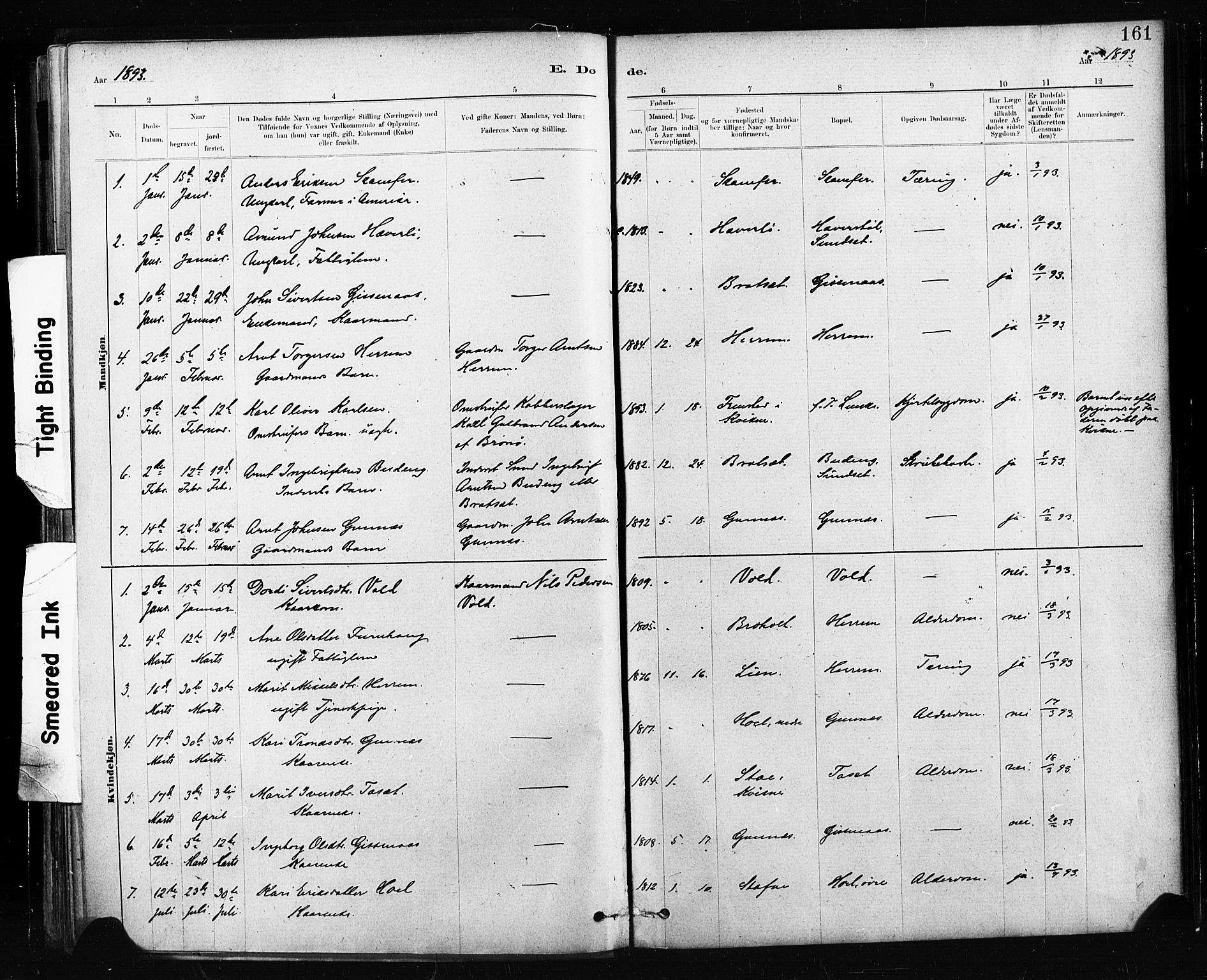 Ministerialprotokoller, klokkerbøker og fødselsregistre - Sør-Trøndelag, SAT/A-1456/674/L0871: Parish register (official) no. 674A03, 1880-1896, p. 161