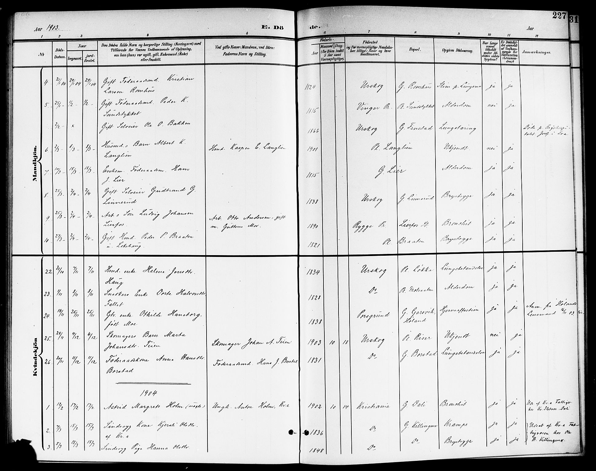 Aurskog prestekontor Kirkebøker, SAO/A-10304a/G/Ga/L0004: Parish register (copy) no. I 4, 1901-1921, p. 227