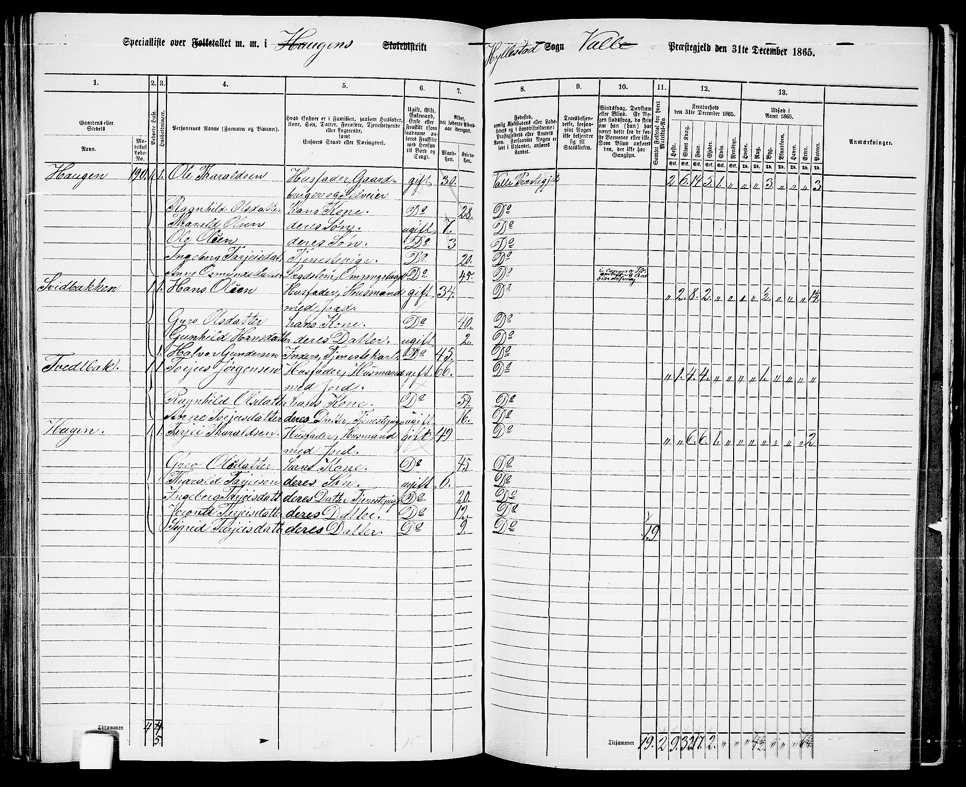 RA, 1865 census for Valle, 1865, p. 117