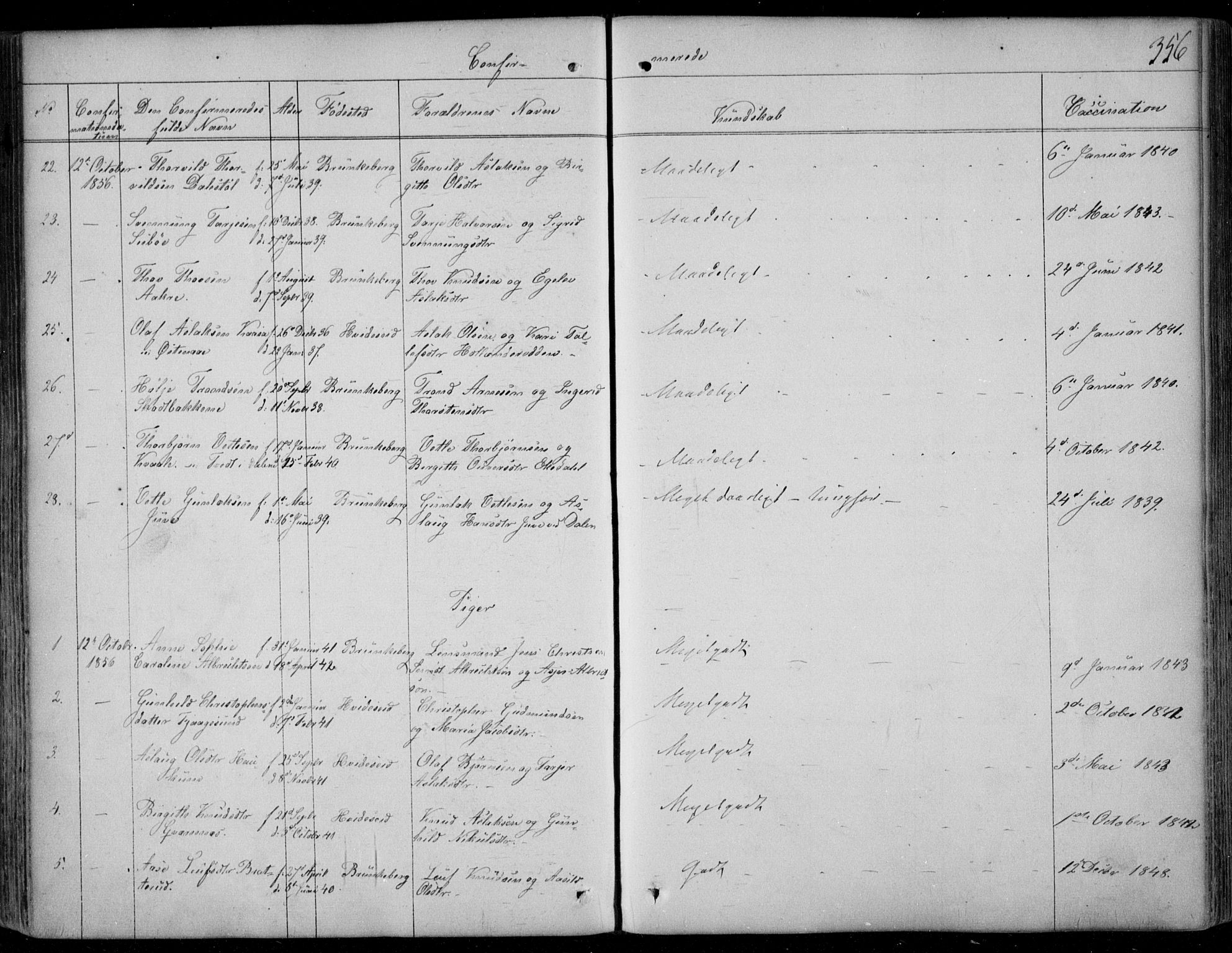 Kviteseid kirkebøker, SAKO/A-276/F/Fa/L0006: Parish register (official) no. I 6, 1836-1858, p. 356