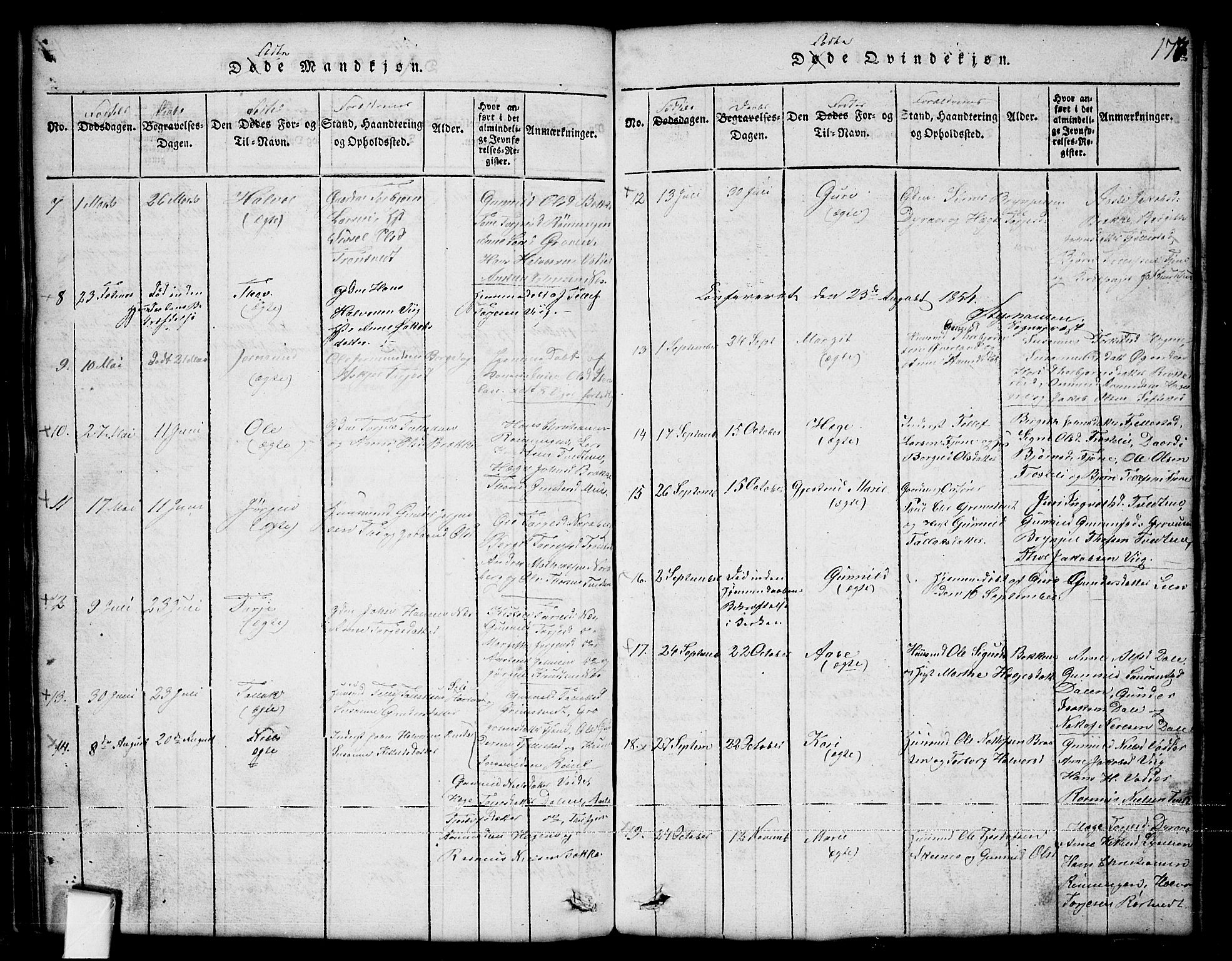 Nissedal kirkebøker, SAKO/A-288/G/Ga/L0001: Parish register (copy) no. I 1, 1814-1860, p. 177