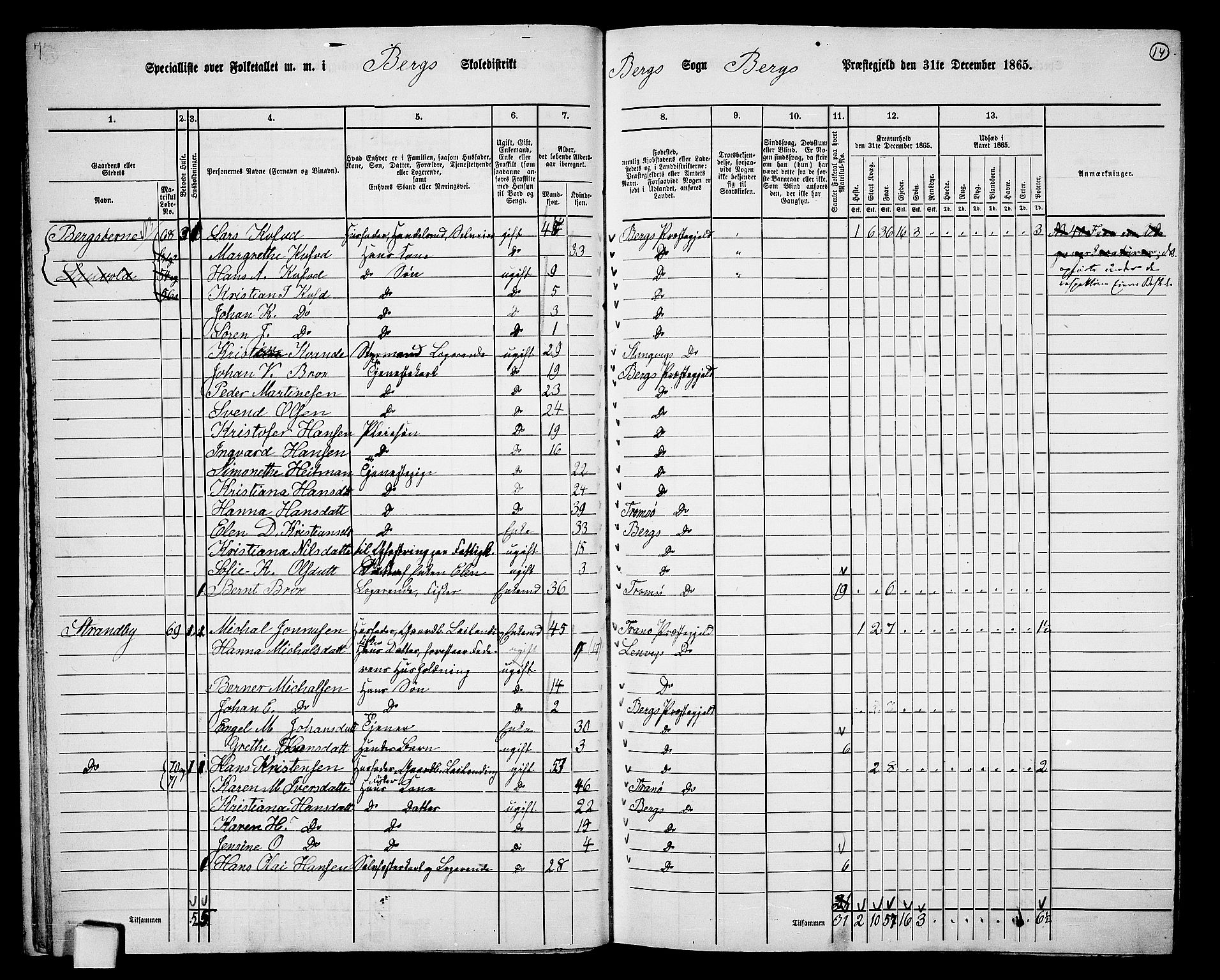 RA, 1865 census for Berg, 1865, p. 15