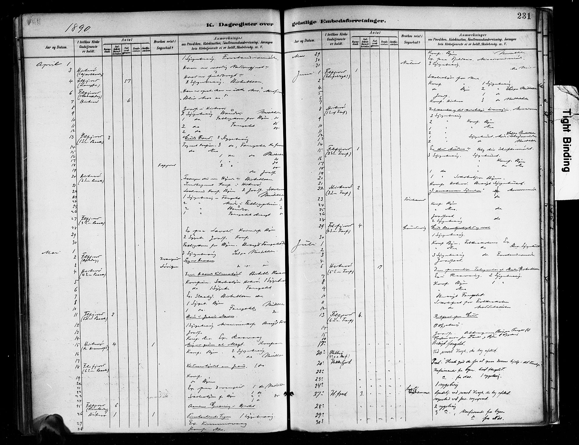 Flekkefjord sokneprestkontor, AV/SAK-1111-0012/F/Fa/Faa/L0001: Parish register (official) no. A 1, 1885-1900, p. 231