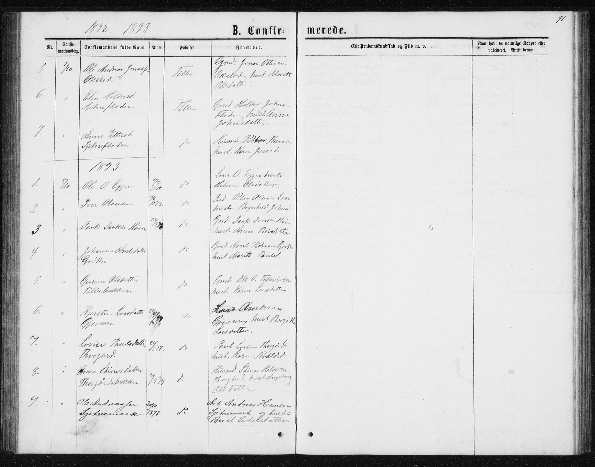 Ministerialprotokoller, klokkerbøker og fødselsregistre - Sør-Trøndelag, SAT/A-1456/621/L0459: Parish register (copy) no. 621C02, 1866-1895, p. 91