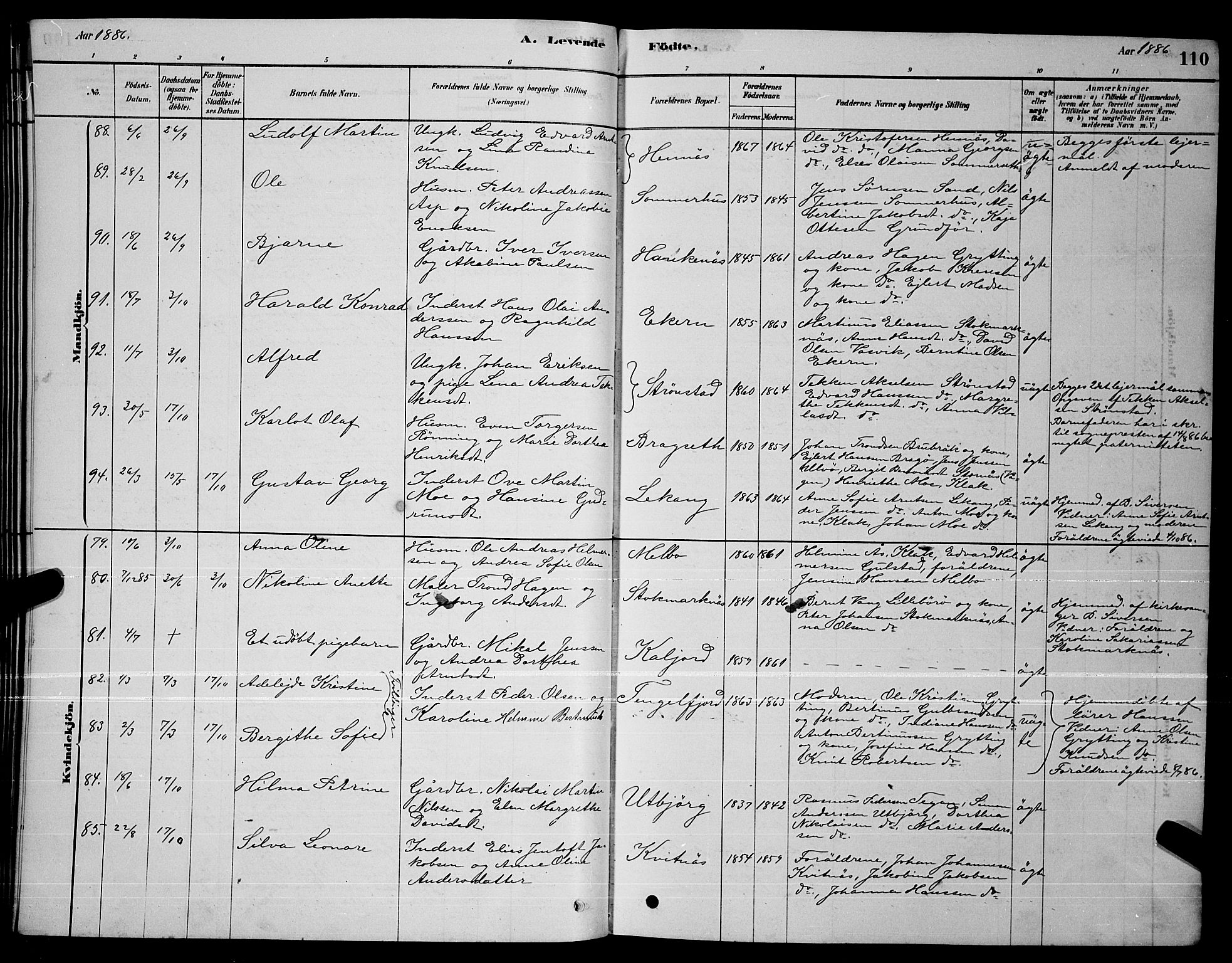 Ministerialprotokoller, klokkerbøker og fødselsregistre - Nordland, SAT/A-1459/888/L1267: Parish register (copy) no. 888C05, 1878-1890, p. 110
