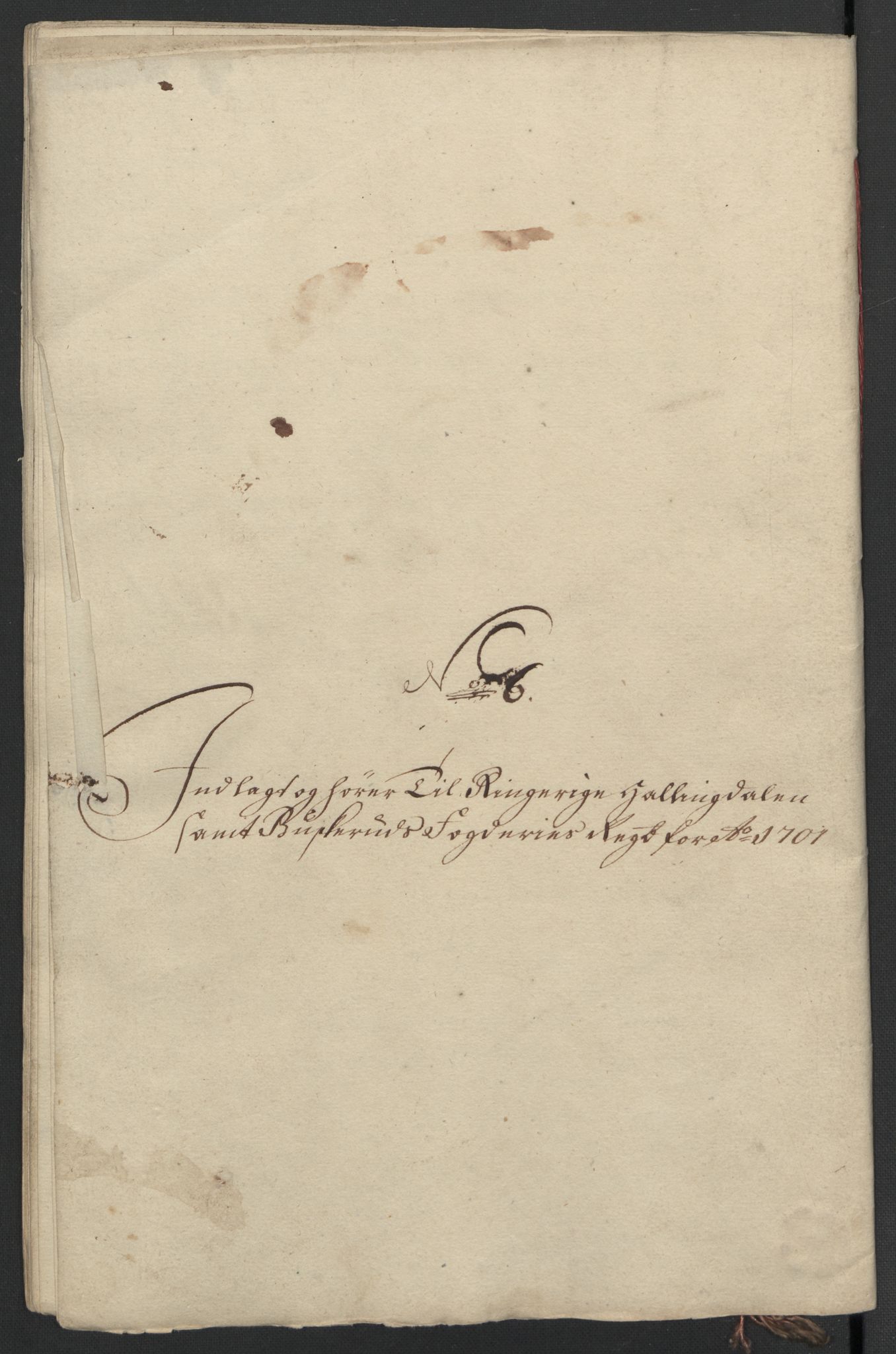 Rentekammeret inntil 1814, Reviderte regnskaper, Fogderegnskap, RA/EA-4092/R22/L1458: Fogderegnskap Ringerike, Hallingdal og Buskerud, 1701, p. 314