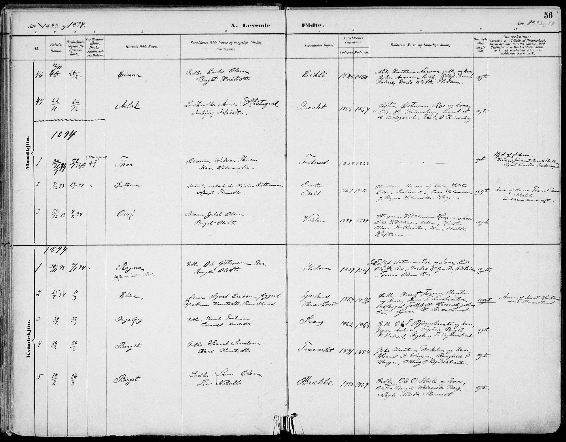 Gol kirkebøker, AV/SAKO-A-226/F/Fa/L0005: Parish register (official) no. I 5, 1887-1900, p. 56