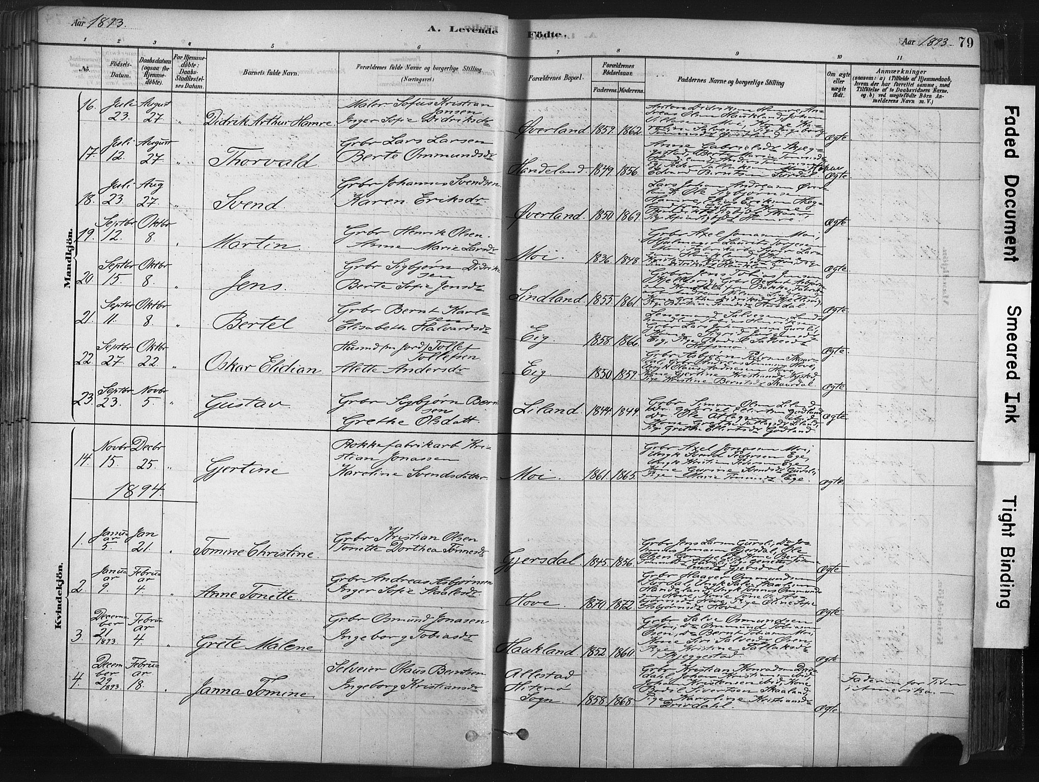 Lund sokneprestkontor, SAST/A-101809/S06/L0011: Parish register (official) no. A 10, 1877-1904, p. 79