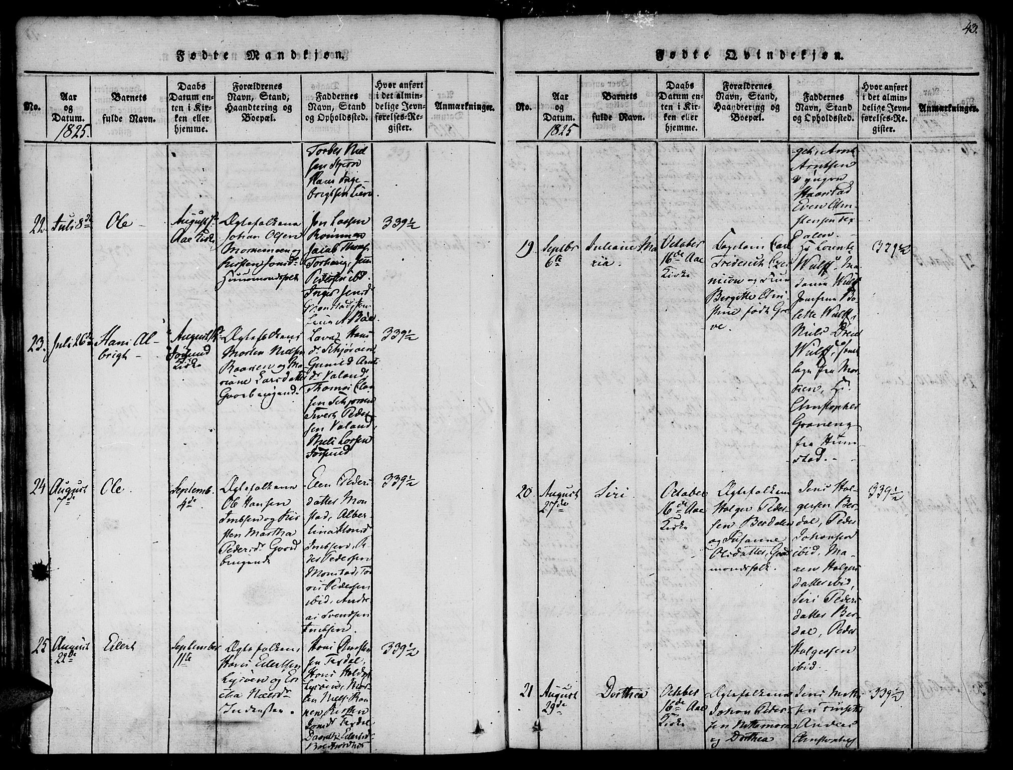 Ministerialprotokoller, klokkerbøker og fødselsregistre - Sør-Trøndelag, AV/SAT-A-1456/655/L0675: Parish register (official) no. 655A04, 1818-1830, p. 43