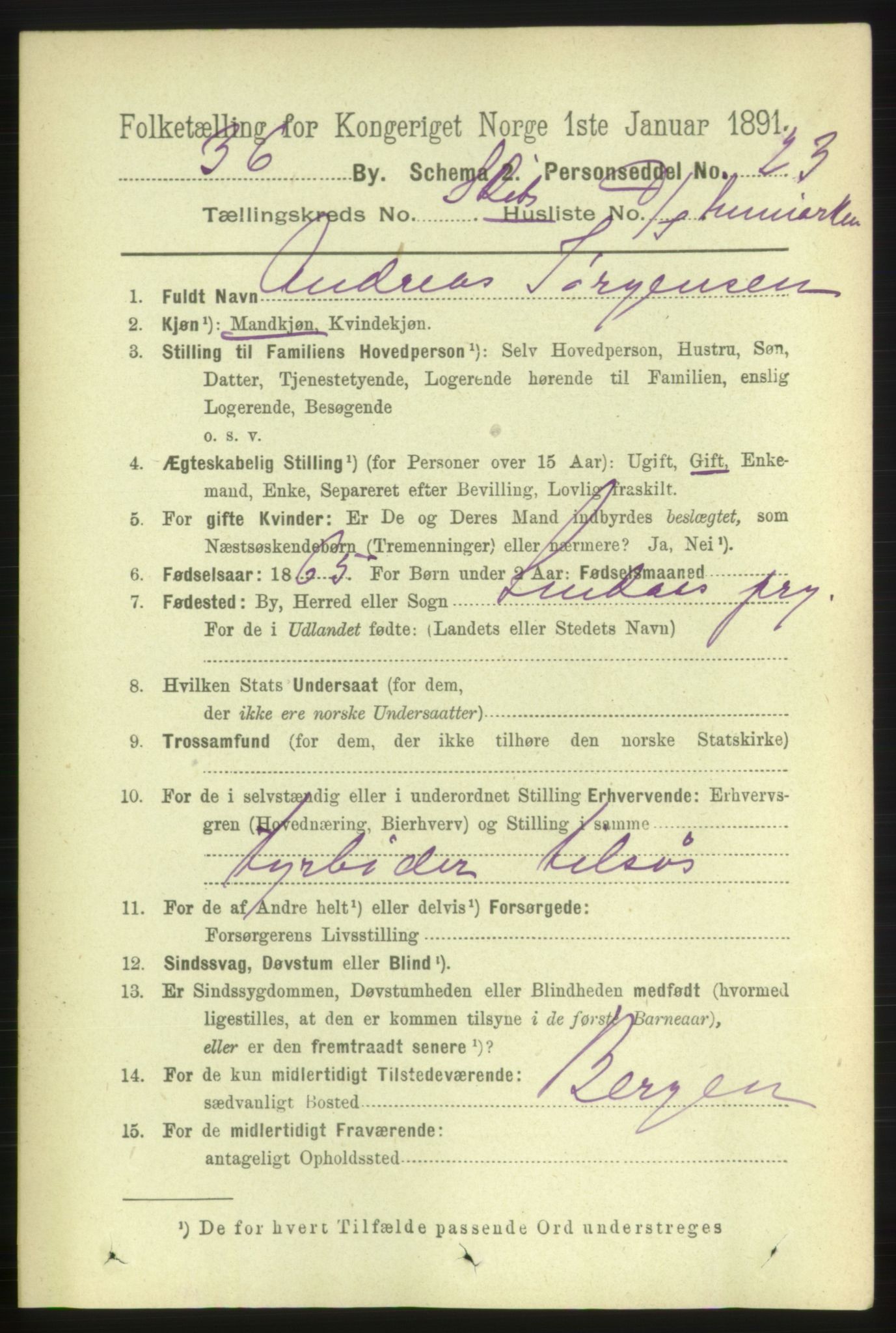 RA, 1891 census for 1001 Kristiansand, 1891, p. 16145