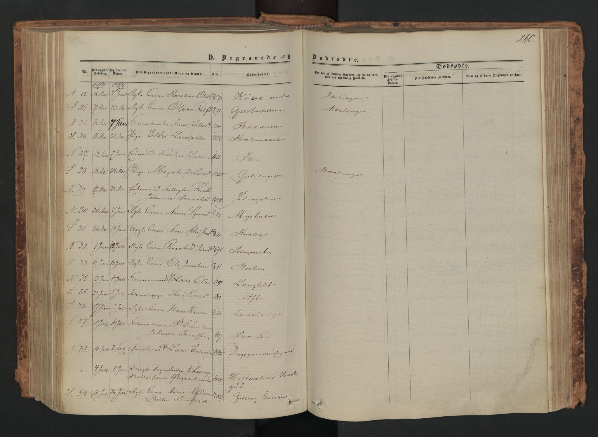 Skjåk prestekontor, SAH/PREST-072/H/Ha/Haa/L0001: Parish register (official) no. 1, 1863-1879, p. 260