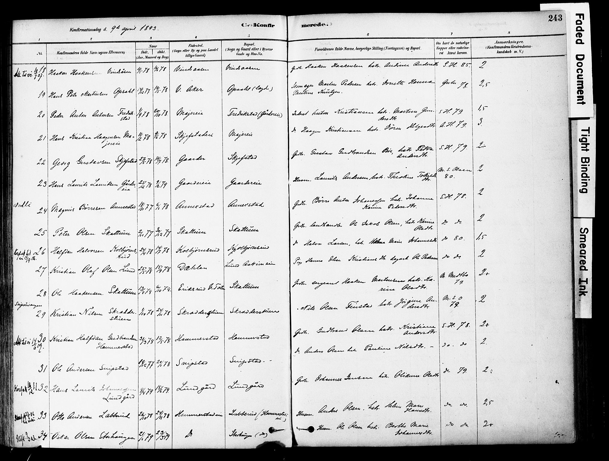 Østre Toten prestekontor, AV/SAH-PREST-104/H/Ha/Haa/L0006: Parish register (official) no. 6 /1, 1878-1896, p. 243