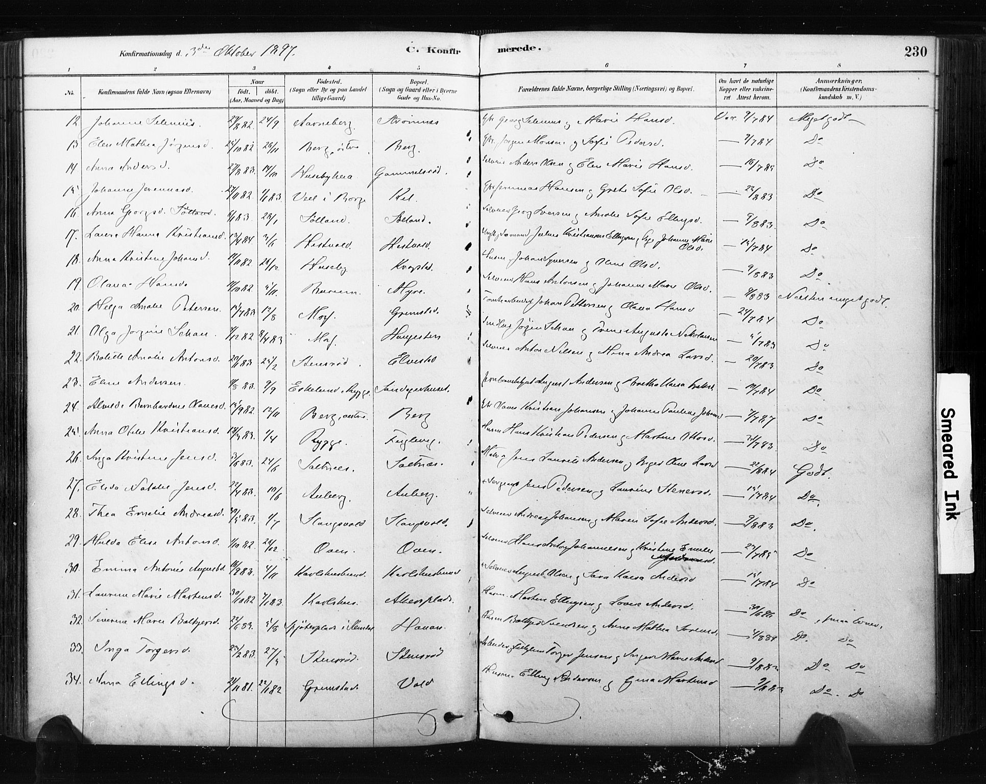 Råde prestekontor kirkebøker, AV/SAO-A-2009/F/Fa/L0007: Parish register (official) no. 7, 1878-1902, p. 230