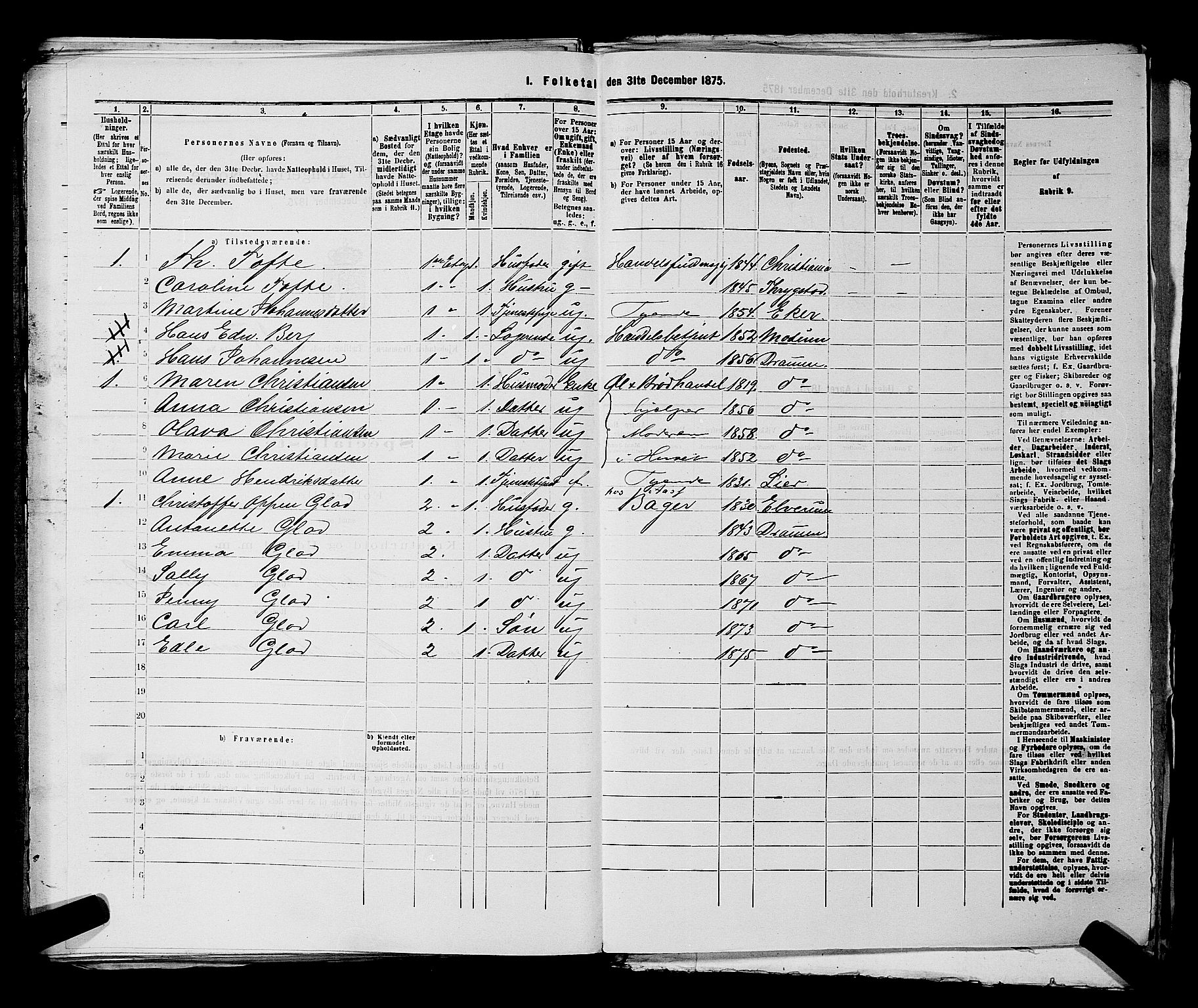 SAKO, 1875 census for 0602 Drammen, 1875, p. 1729