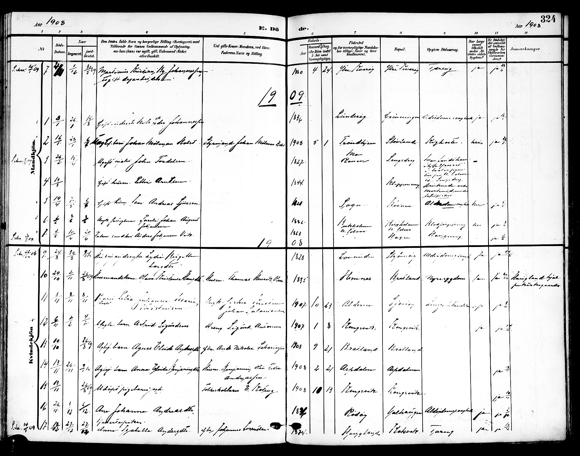 Ministerialprotokoller, klokkerbøker og fødselsregistre - Nordland, SAT/A-1459/839/L0569: Parish register (official) no. 839A06, 1903-1922, p. 324