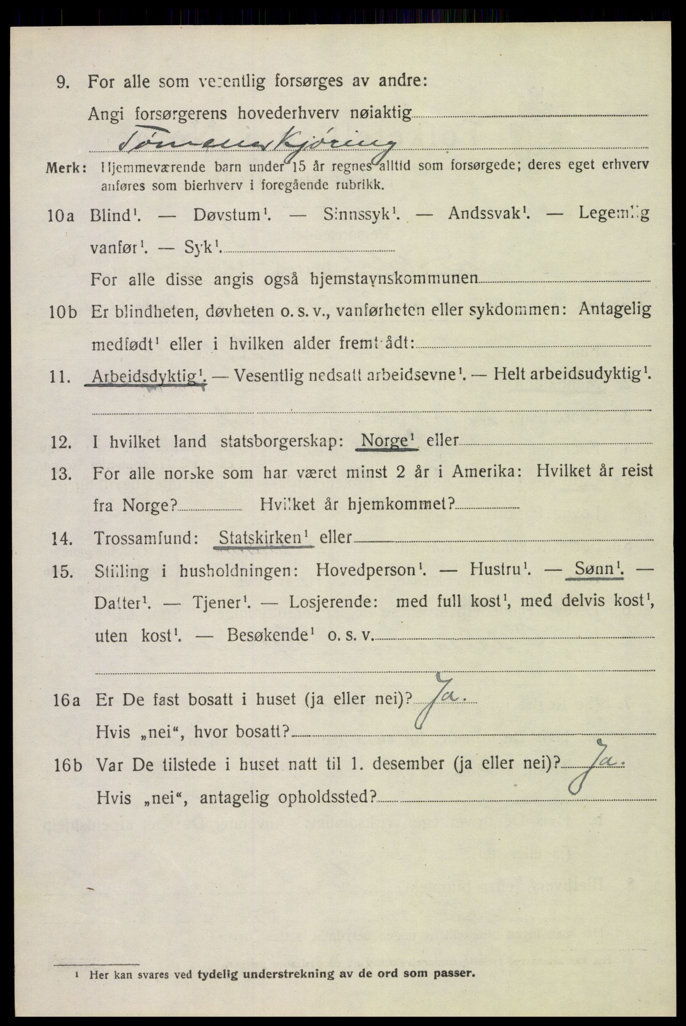 SAH, 1920 census for Nord-Odal, 1920, p. 5028