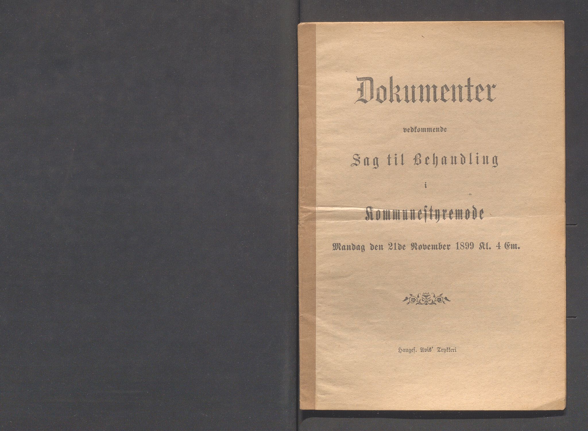 Haugesund kommune - Formannskapet og Bystyret, IKAR/A-740/A/Abb/L0001: Bystyreforhandlinger, 1889-1907, p. 254