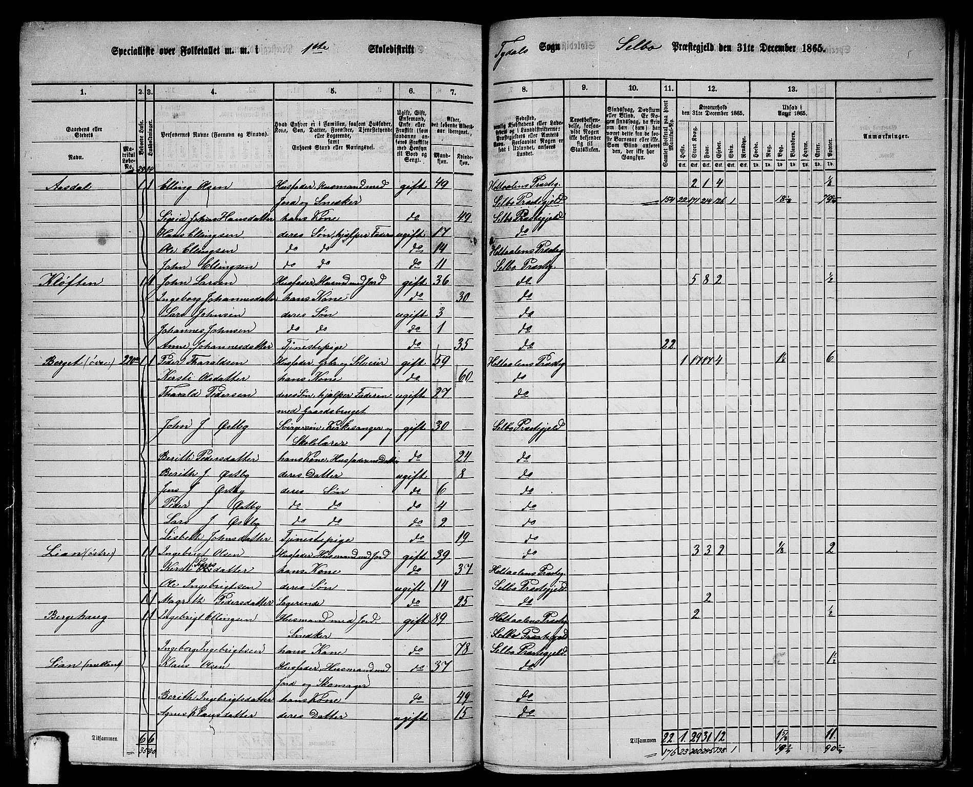 RA, 1865 census for Selbu, 1865, p. 228