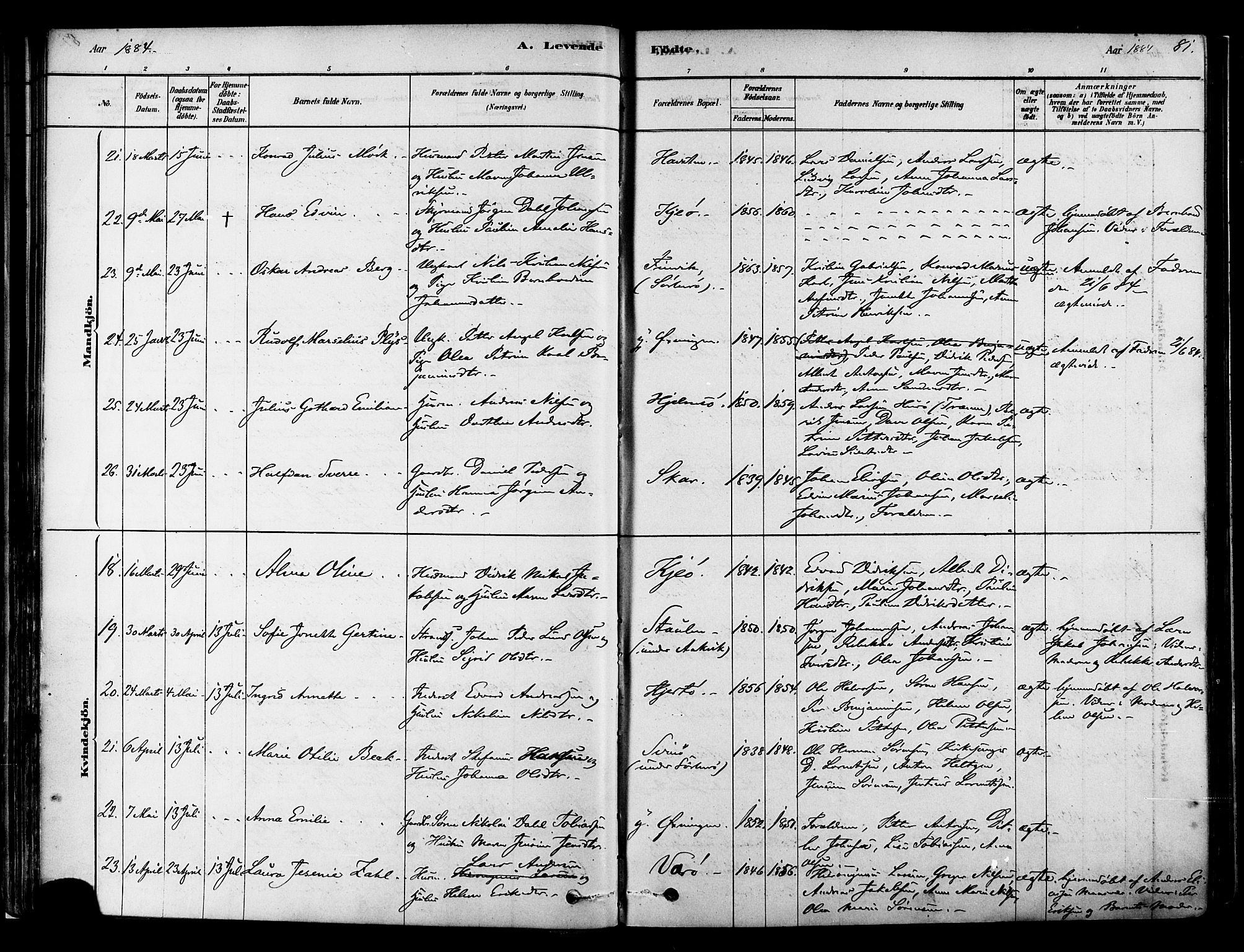 Ministerialprotokoller, klokkerbøker og fødselsregistre - Nordland, AV/SAT-A-1459/834/L0507: Parish register (official) no. 834A05, 1878-1892, p. 81