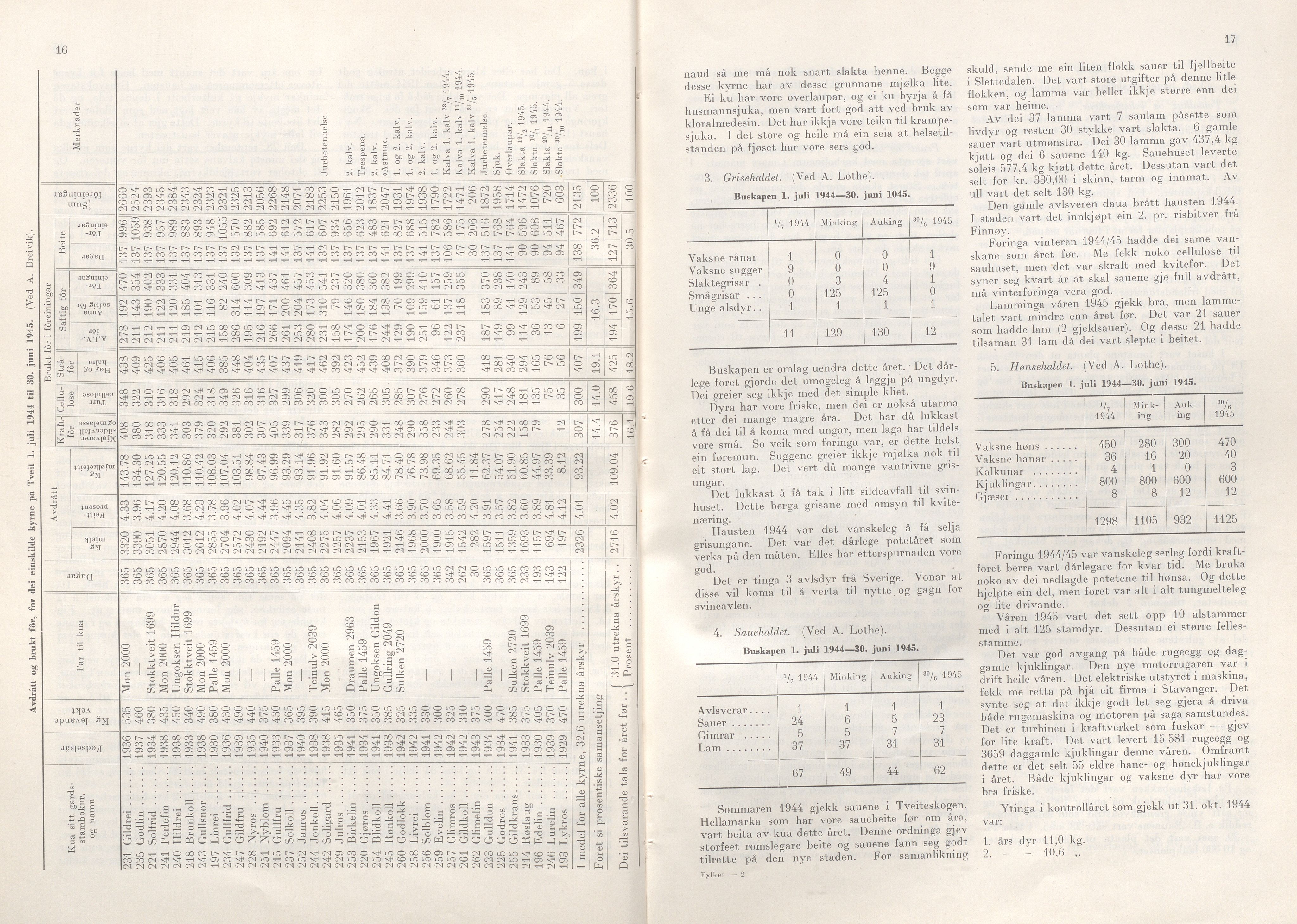 Rogaland fylkeskommune - Fylkesrådmannen , IKAR/A-900/A/Aa/Aaa/L0065: Møtebok , 1946, p. 16-17