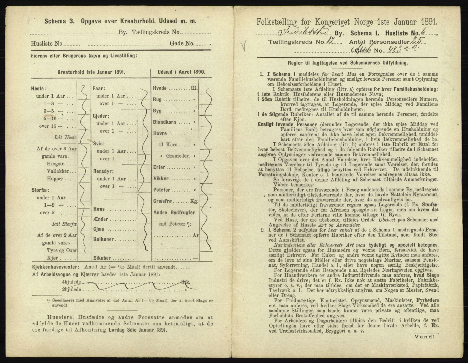 RA, 1891 census for 0103 Fredrikstad, 1891, p. 2300