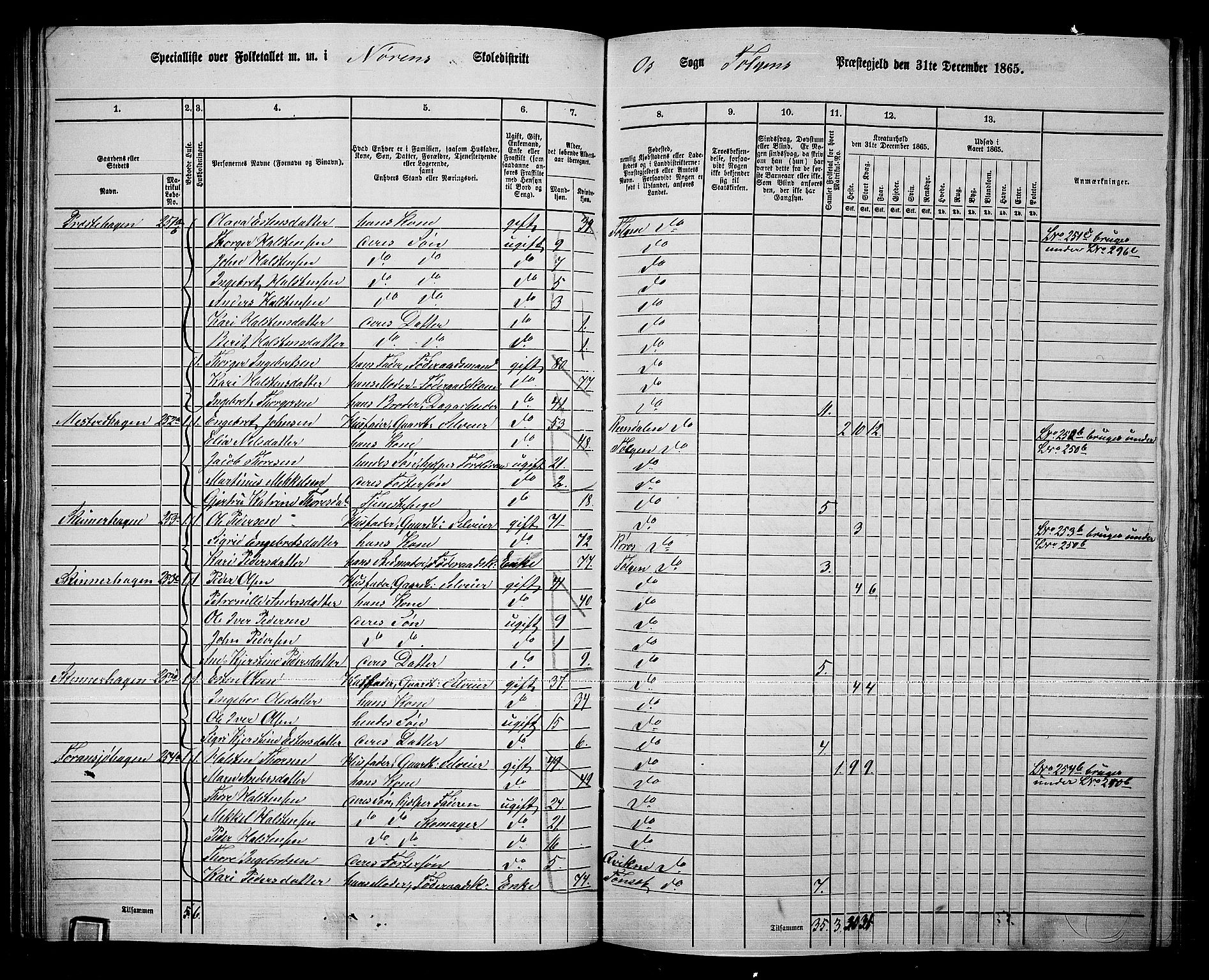 RA, 1865 census for Tolga, 1865, p. 100