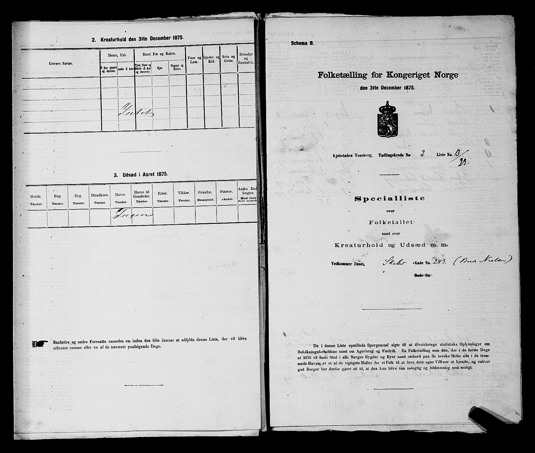 SAKO, 1875 census for 0705P Tønsberg, 1875, p. 80