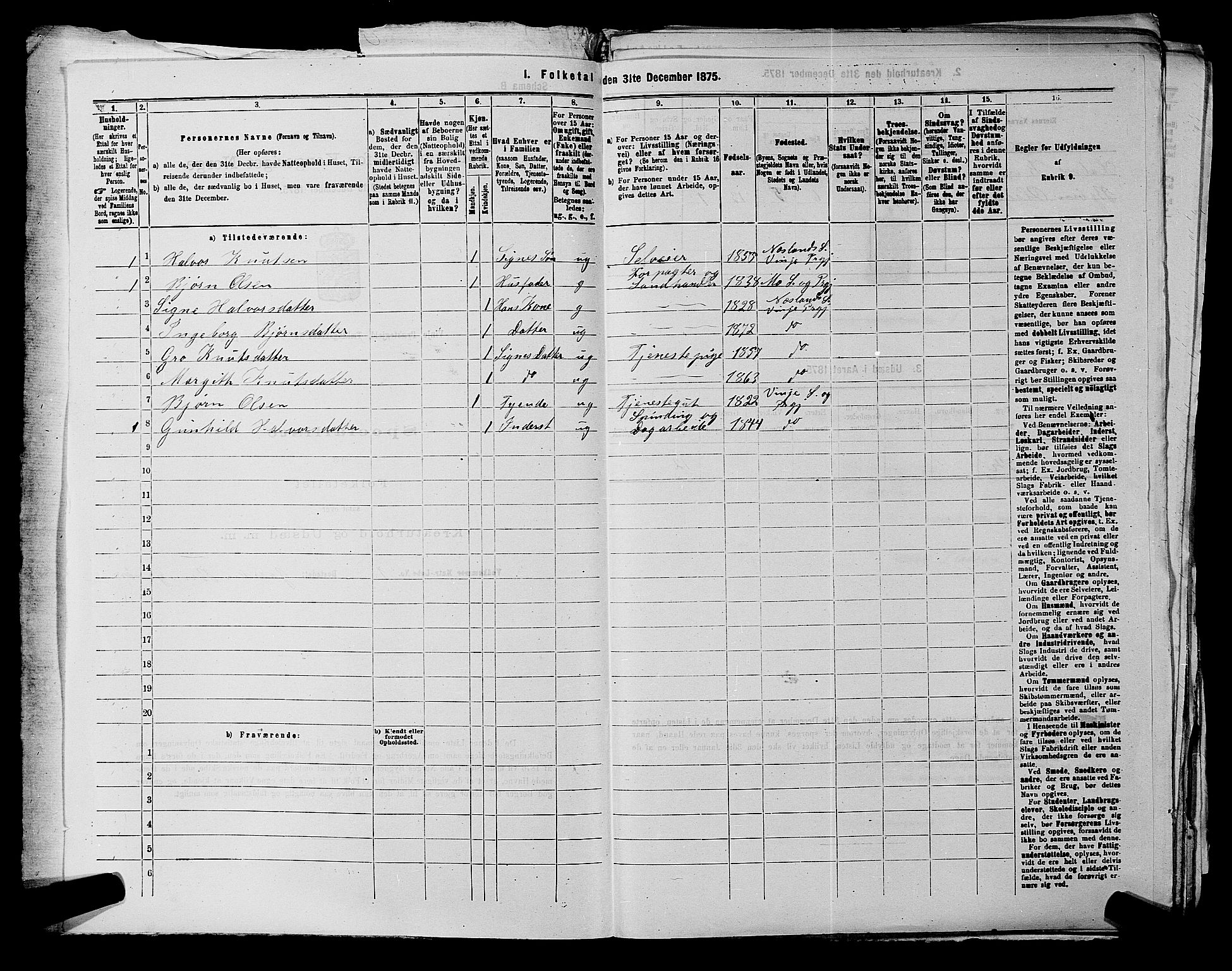 SAKO, 1875 census for 0834P Vinje, 1875, p. 44