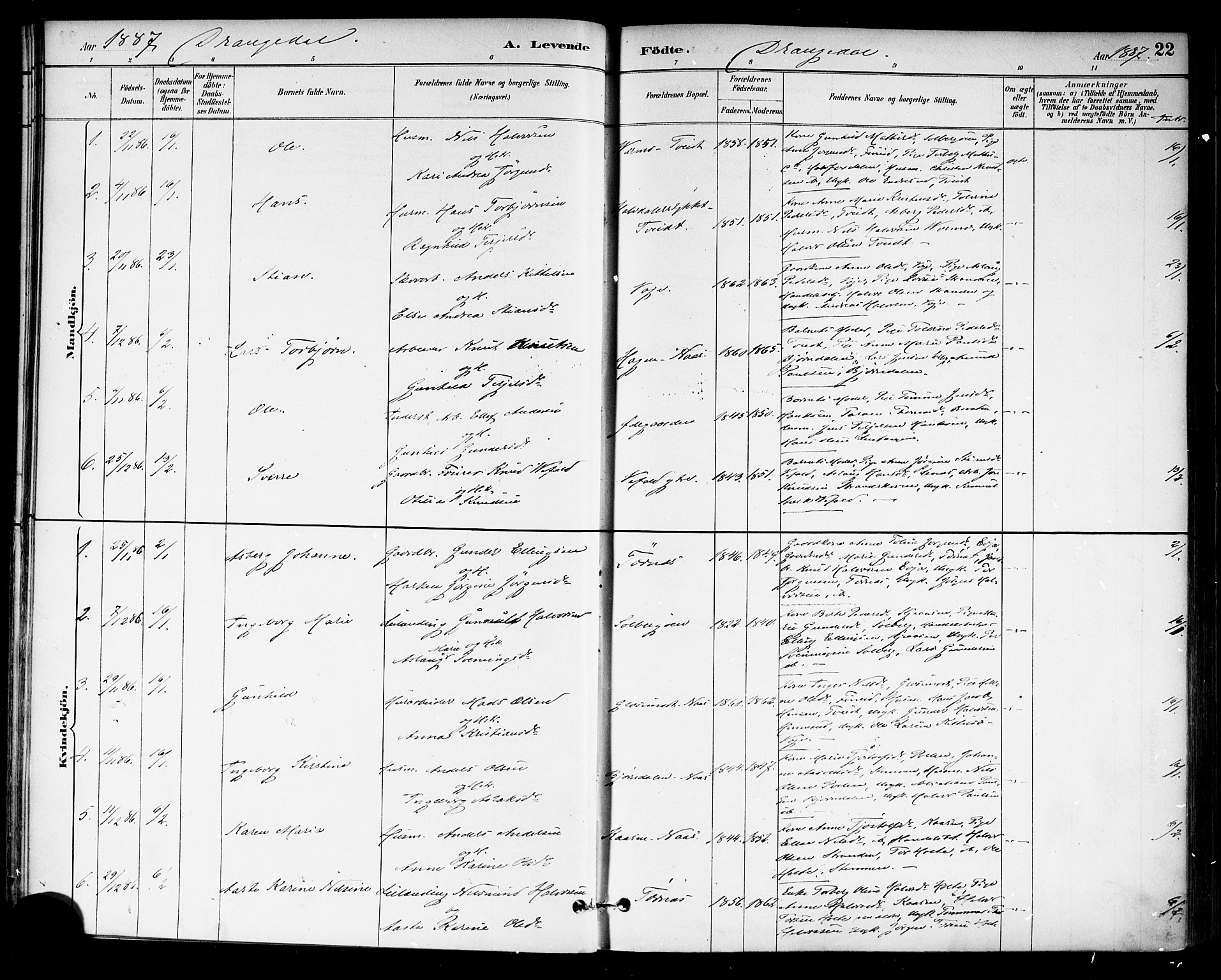 Drangedal kirkebøker, SAKO/A-258/F/Fa/L0010: Parish register (official) no. 10 /1, 1885-1894, p. 22